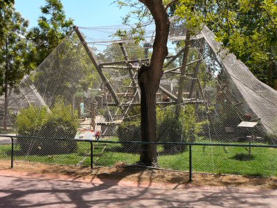 red ruffed lemur enclosure