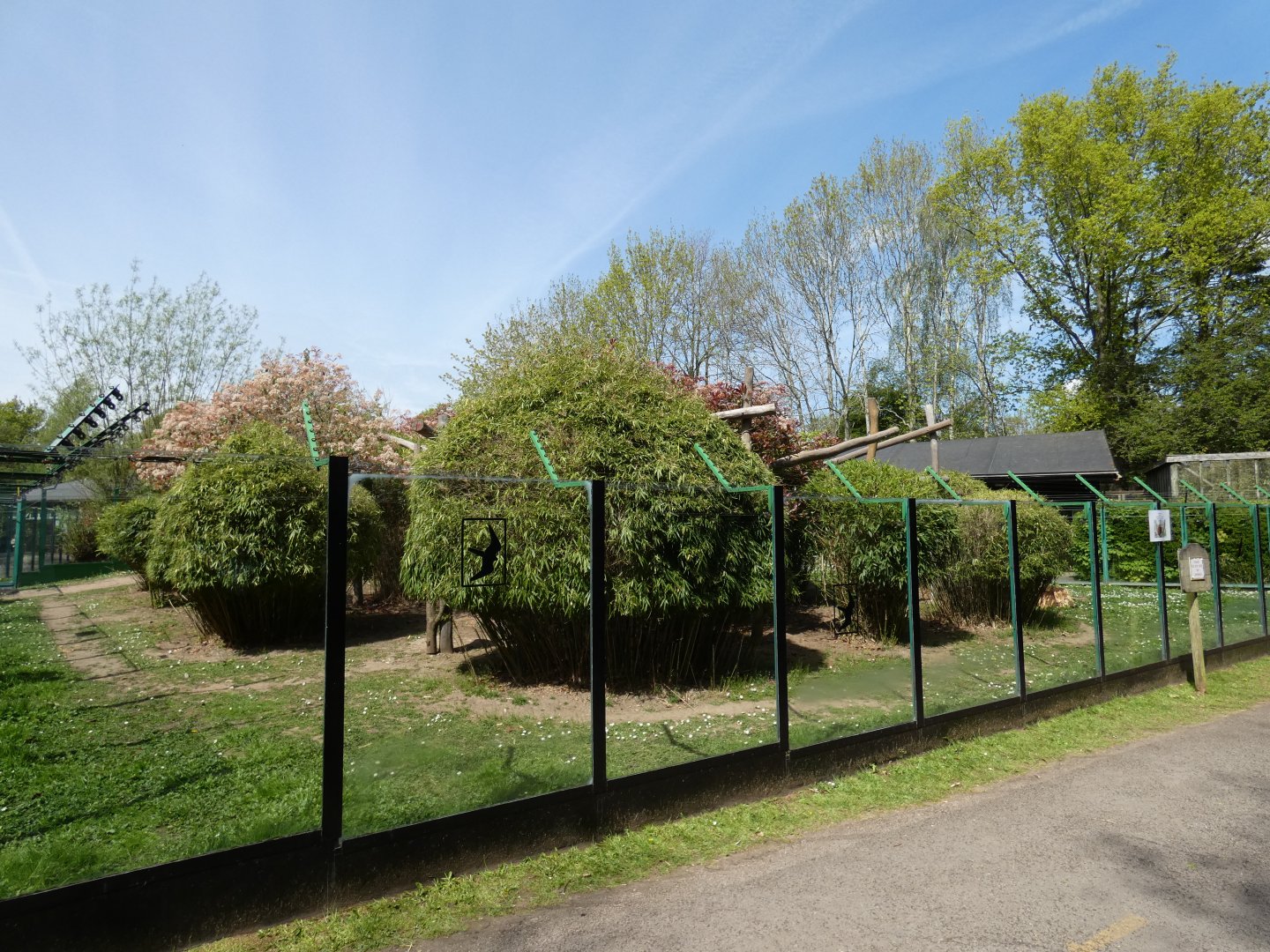 Red-ruffed lemur enclosure