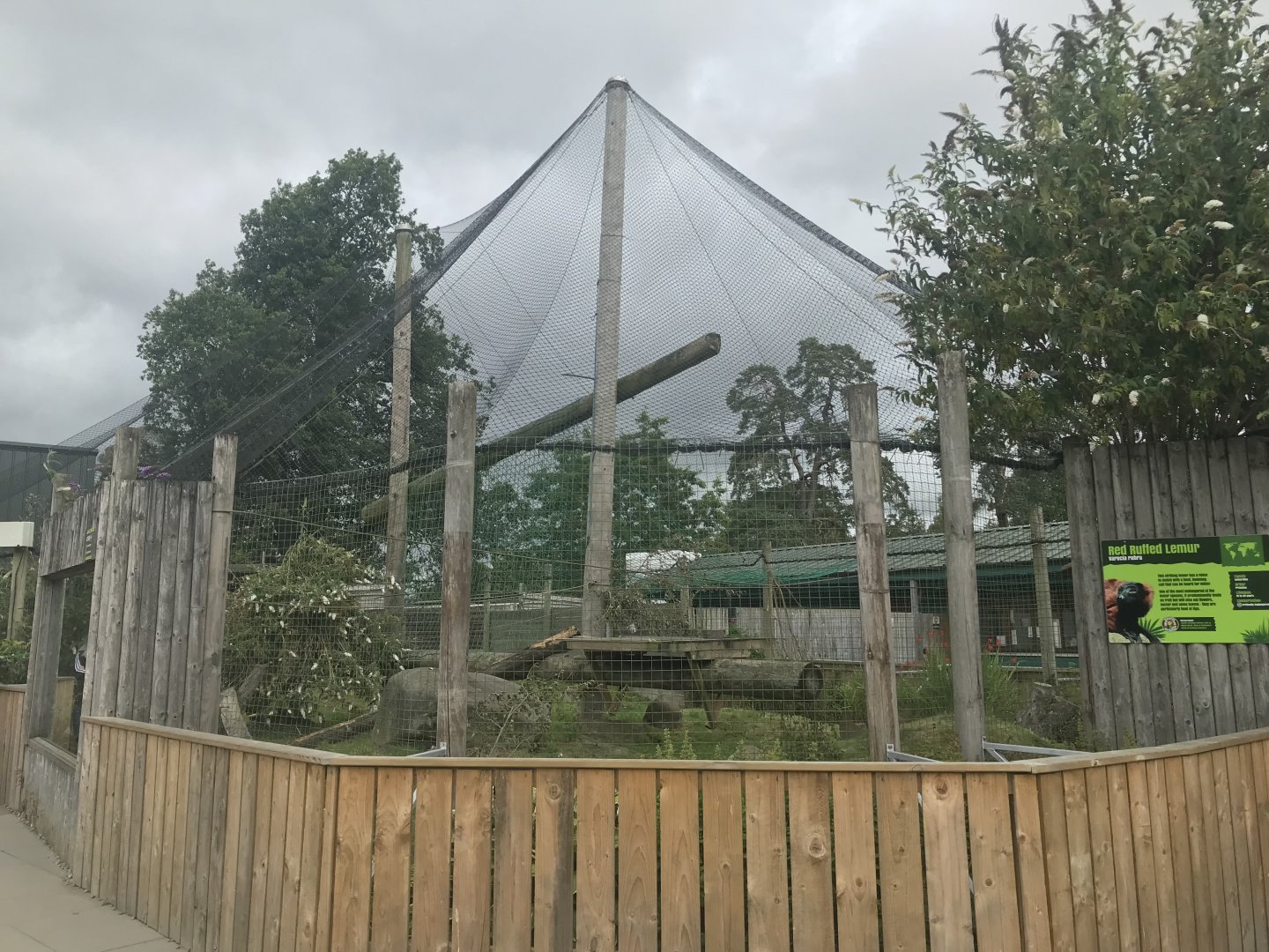 Red ruffed lemur enclosure