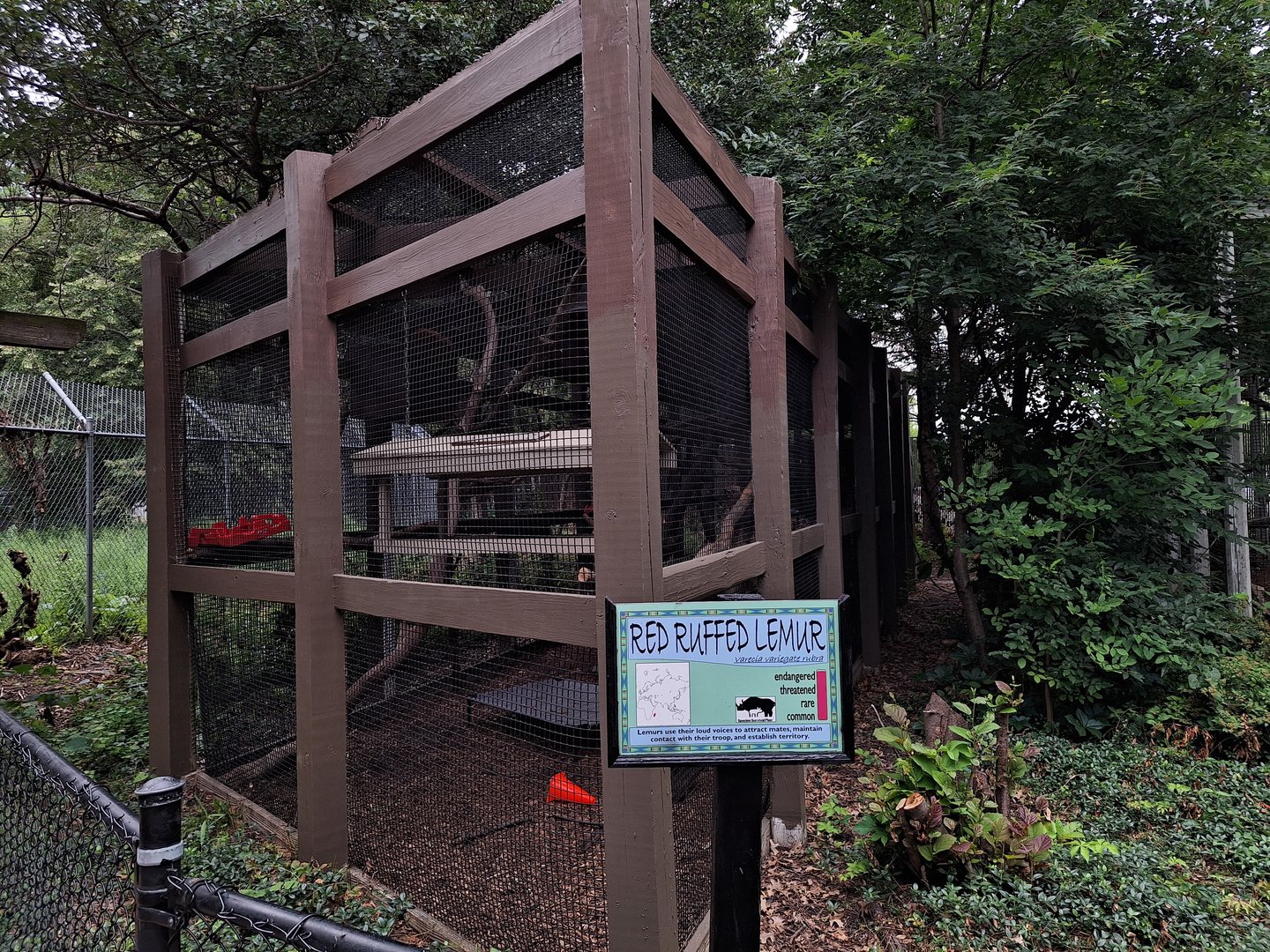 Red Ruffed Lemur enclosure