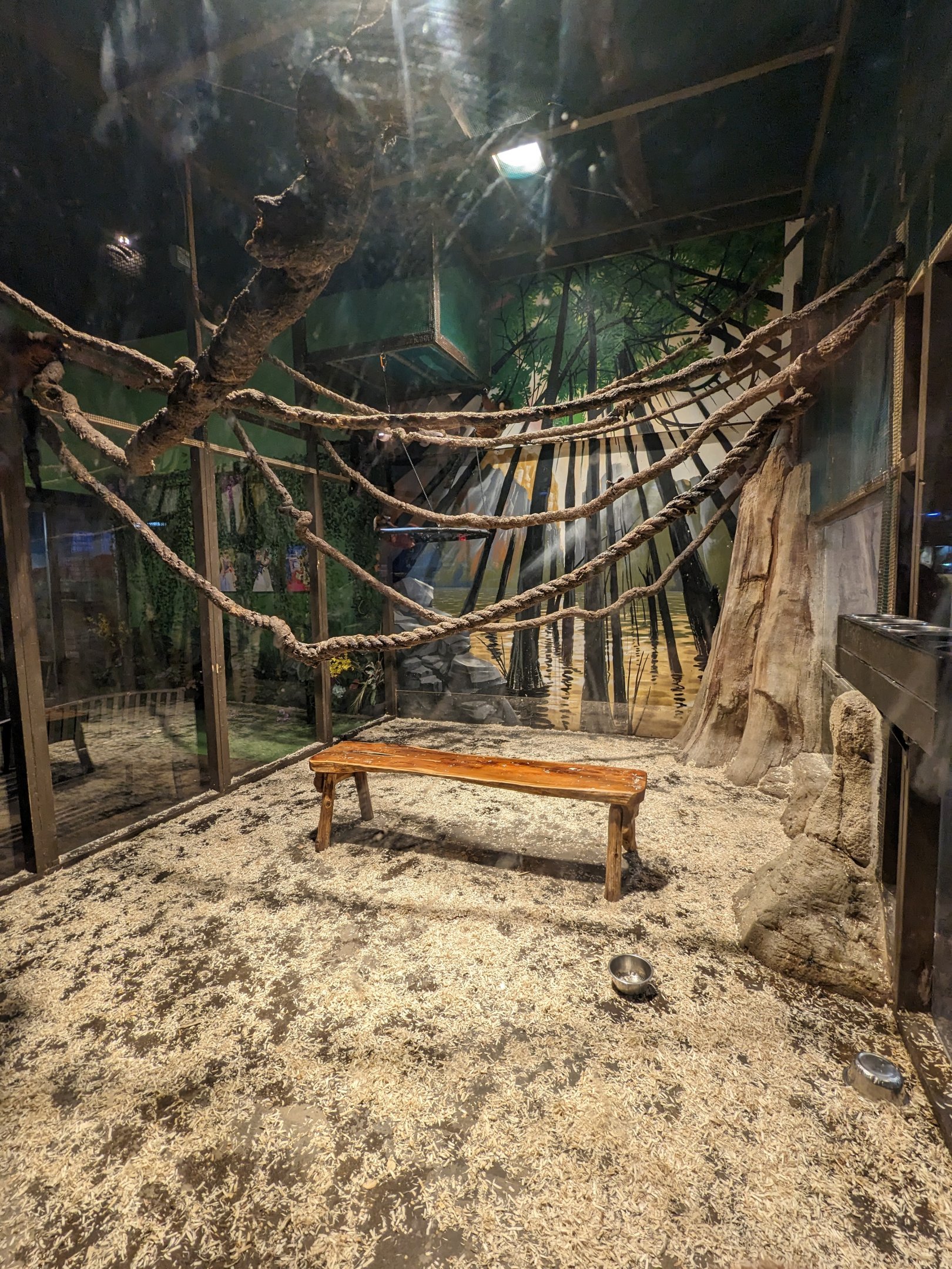 Red ruffed lemur enclosure