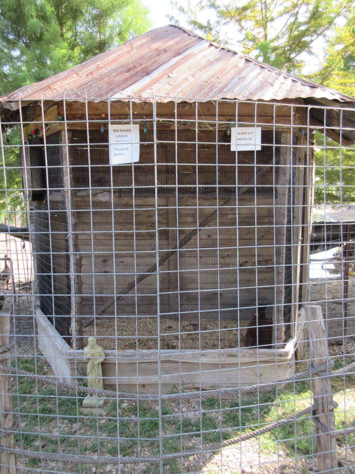 Red Ruffed Lemur Exhibit (perhaps 7 feet wide)