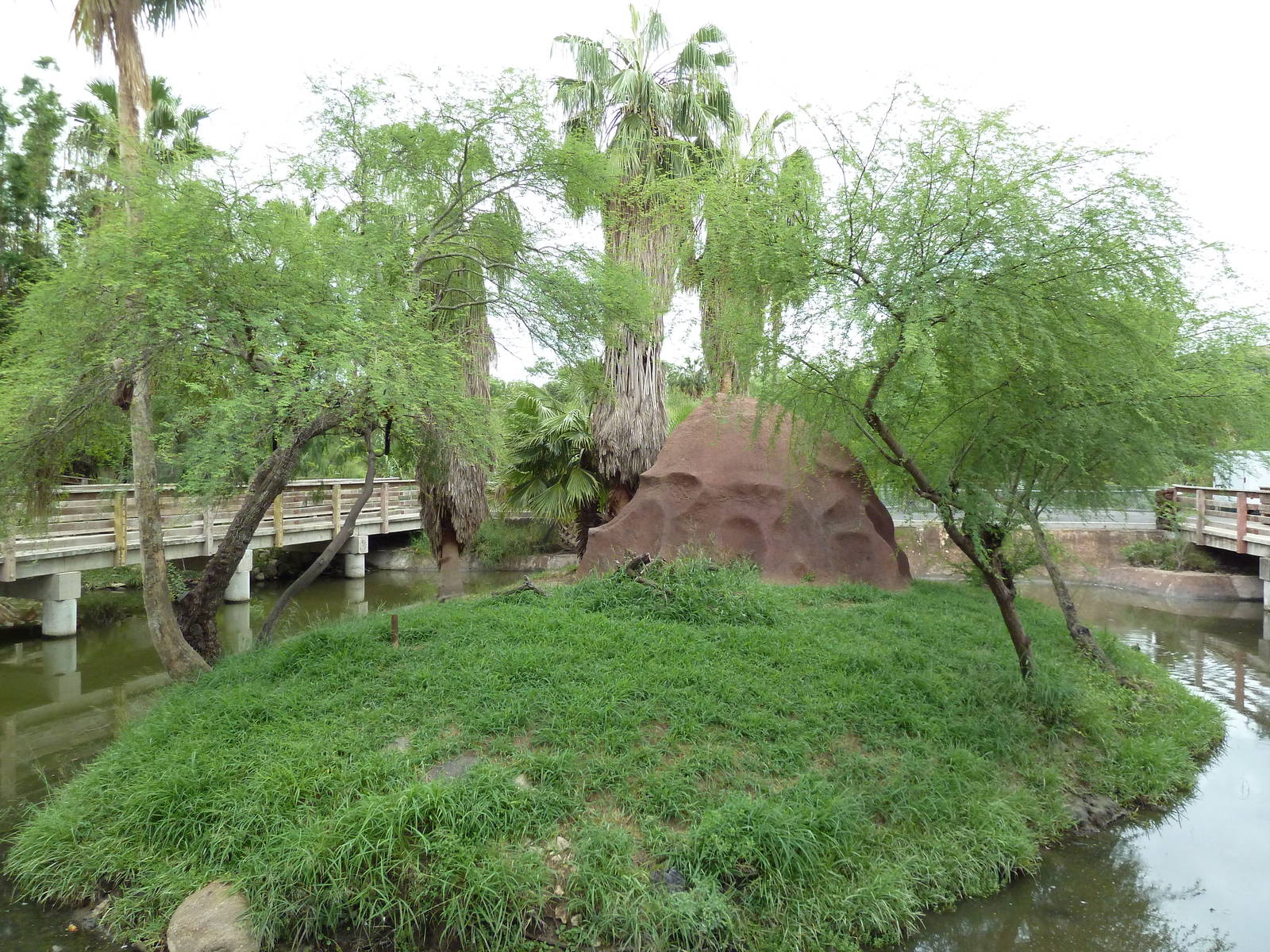 Red Ruffed Lemur Exhibit