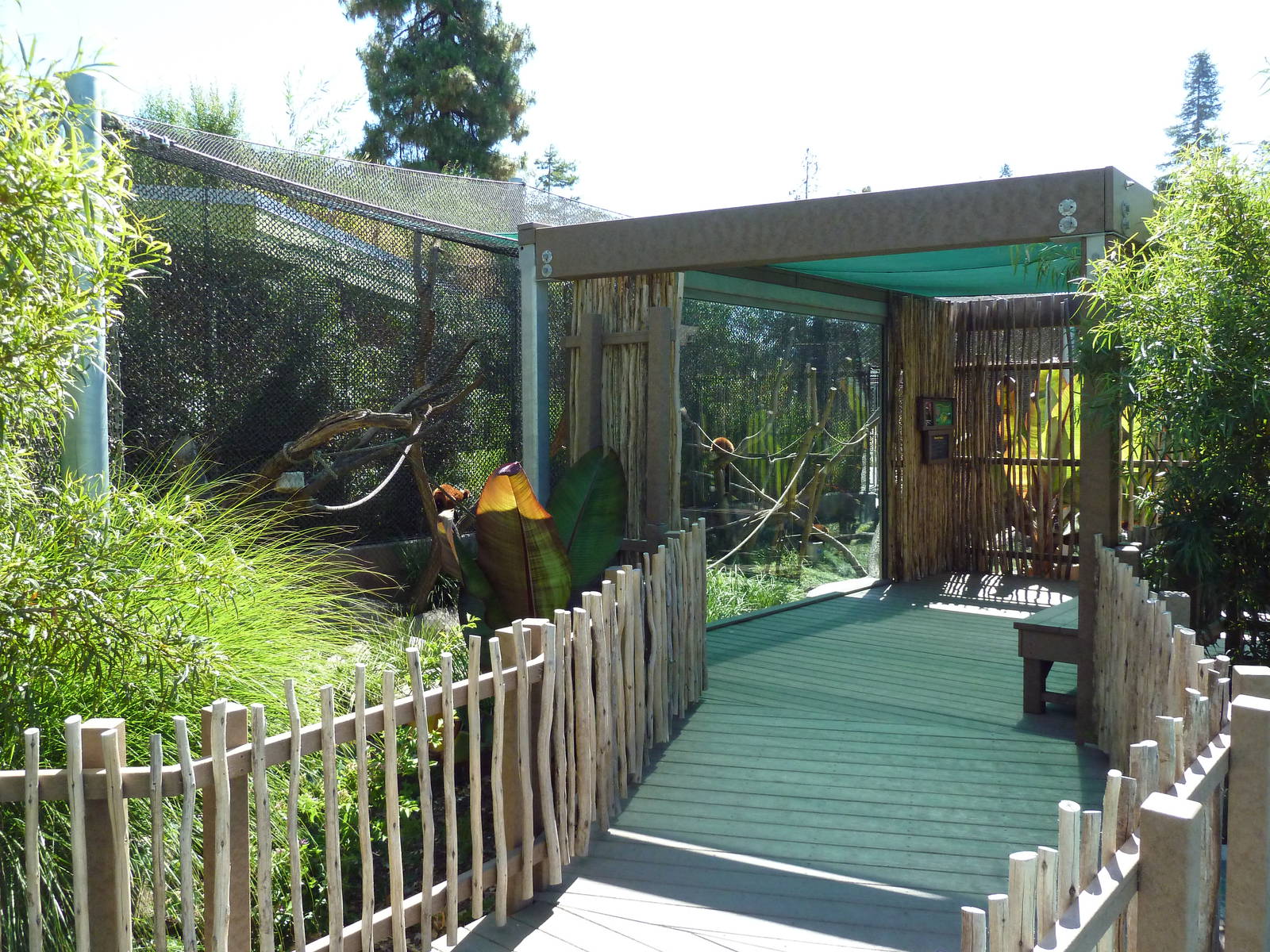 Red Ruffed Lemur Exhibit
