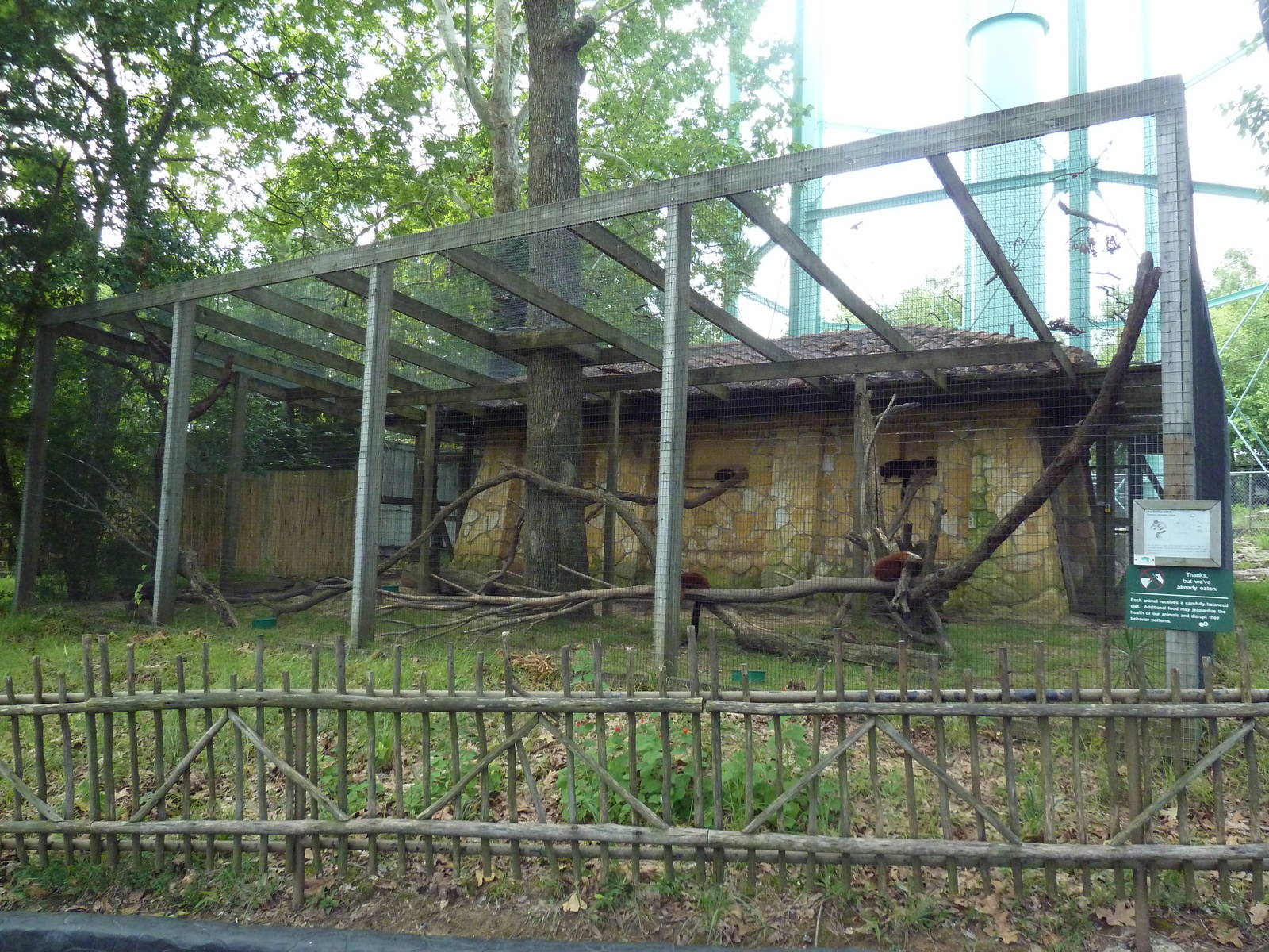 Red Ruffed Lemur Exhibit