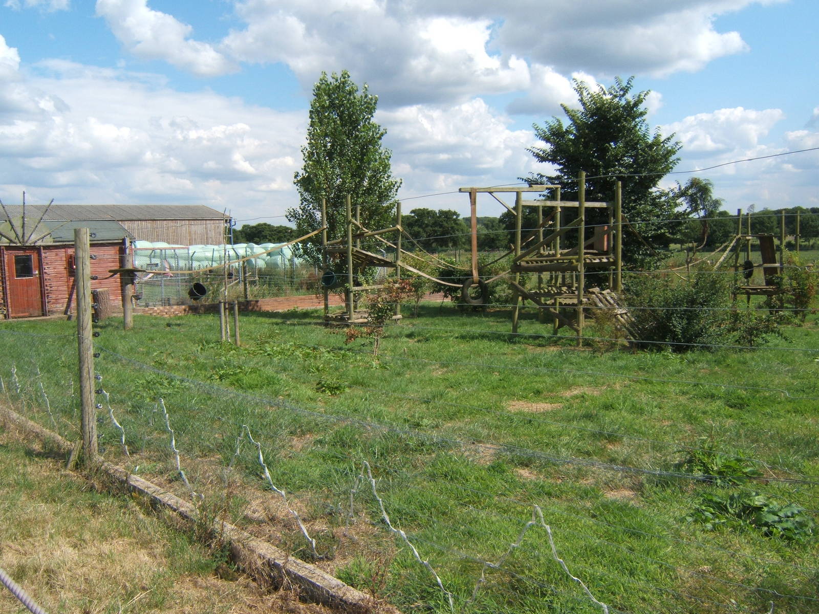 Red-ruffed Lemur exhibit