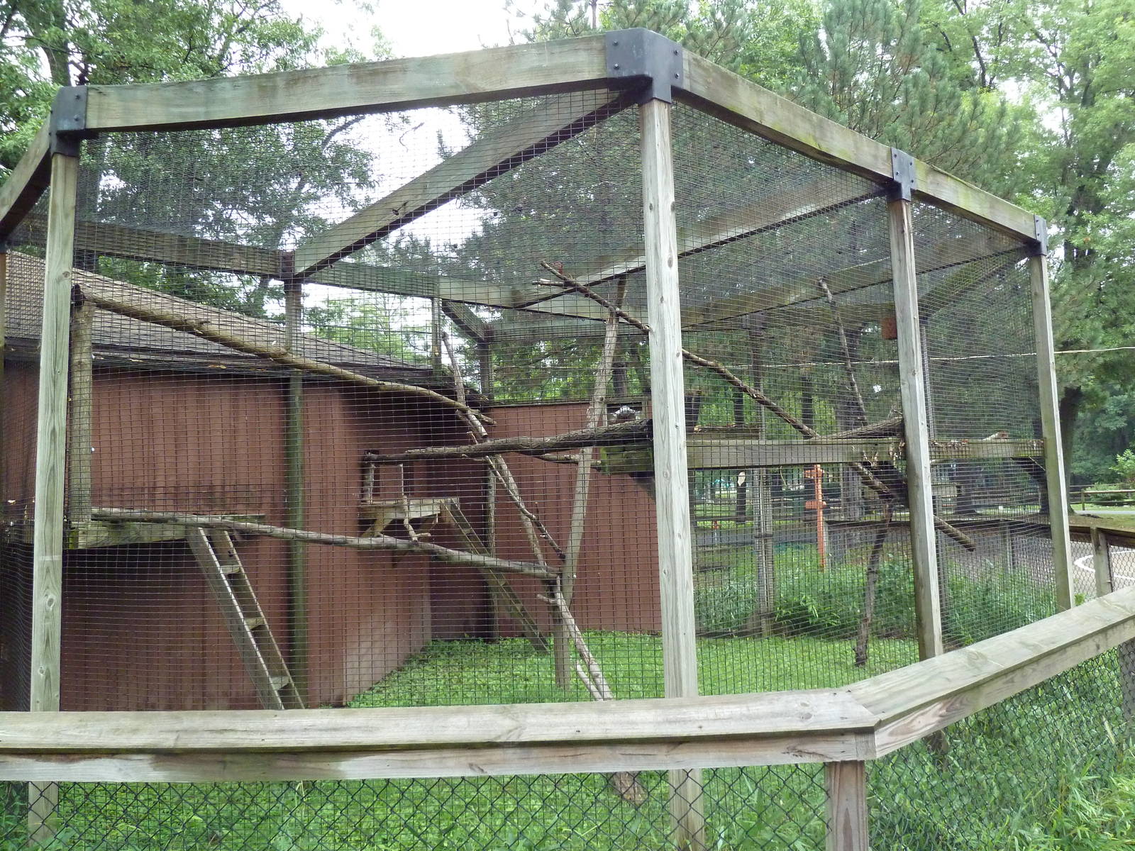 Red Ruffed Lemur Exhibit