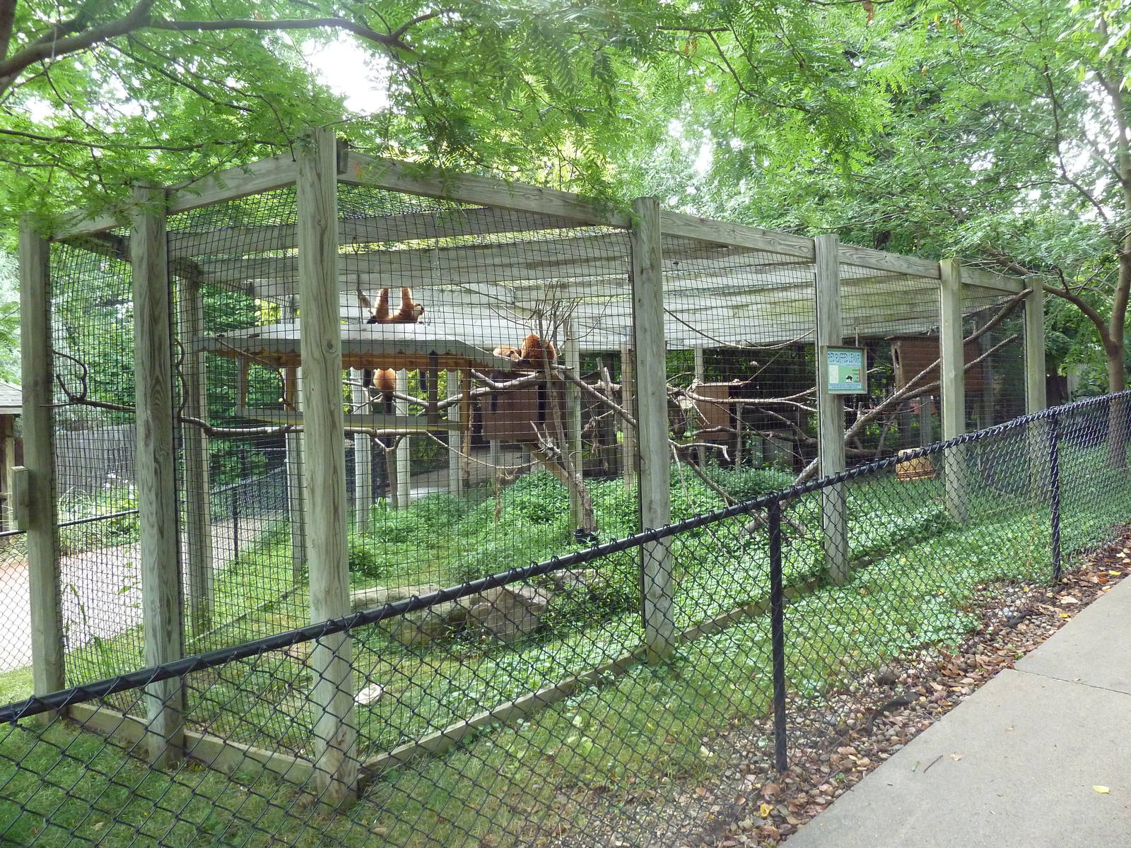 Red Ruffed Lemur Exhibit