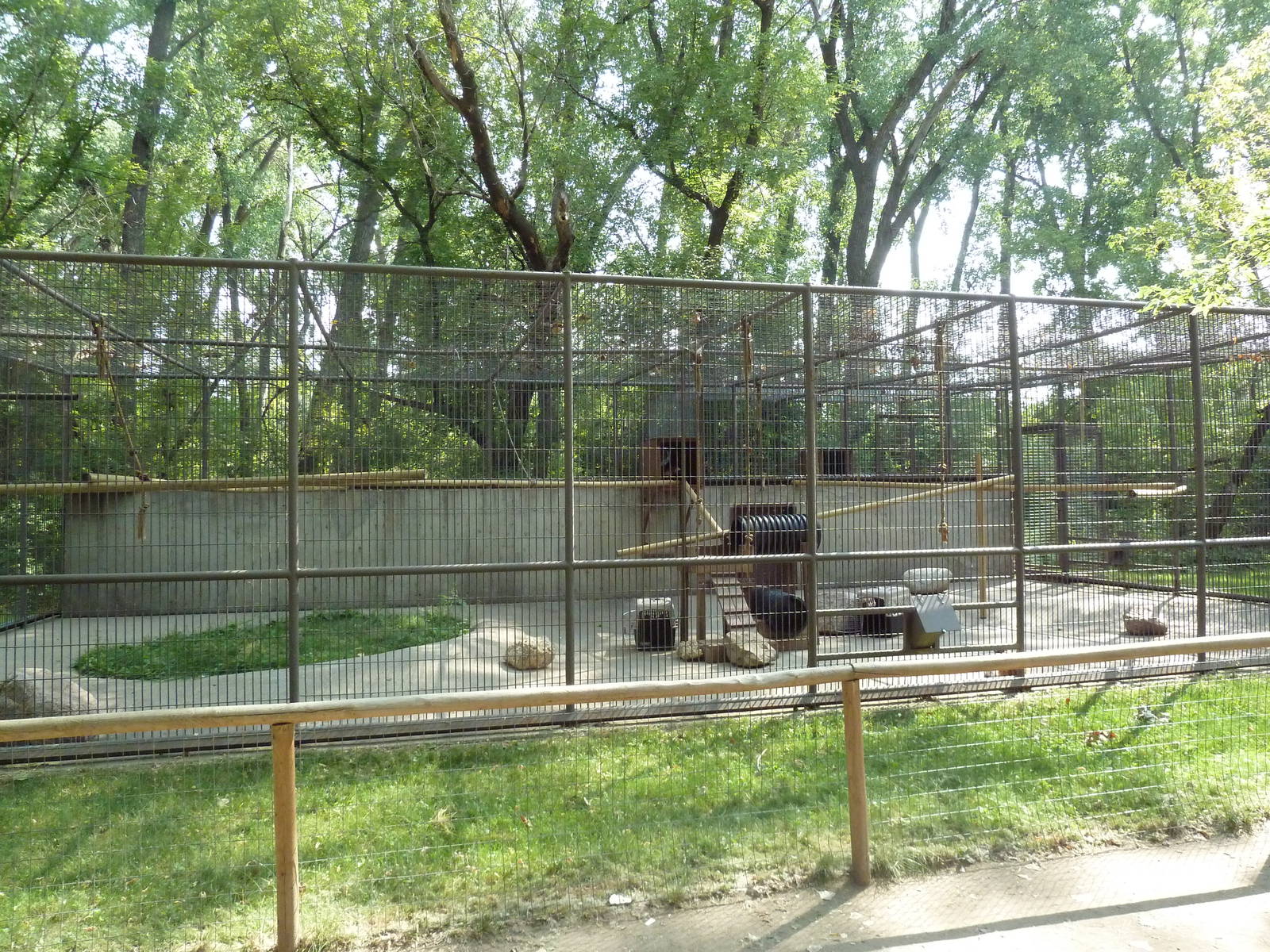 Red Ruffed Lemur Exhibit