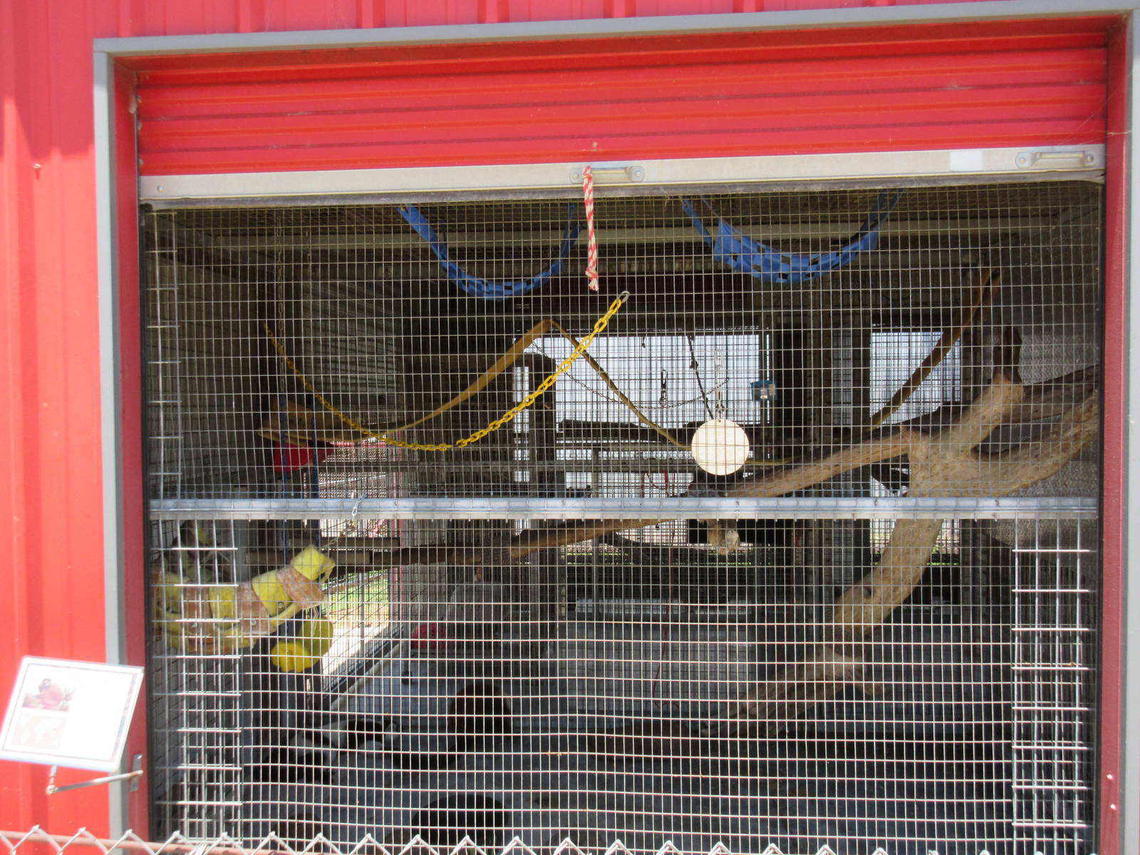 Red Ruffed Lemur Exhibit