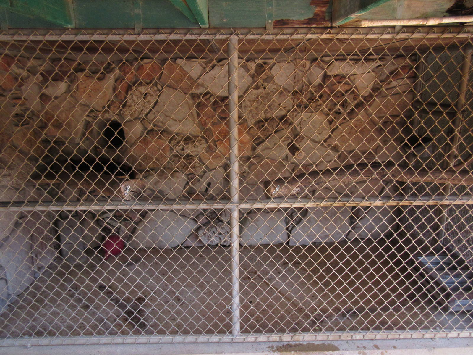 Red Ruffed Lemur Exhibit