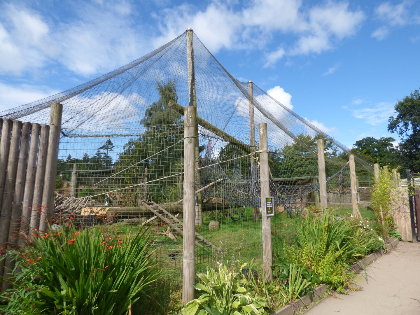 Red-ruffed Lemur exhibit