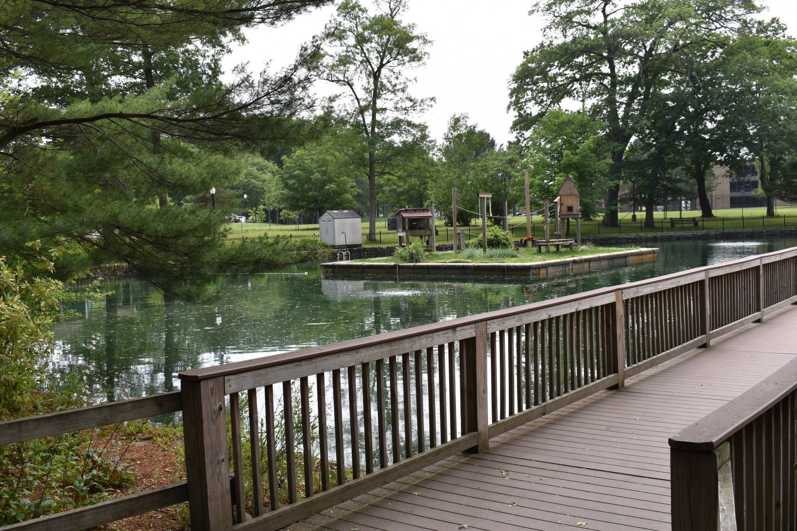 Red Ruffed Lemur Exhibit