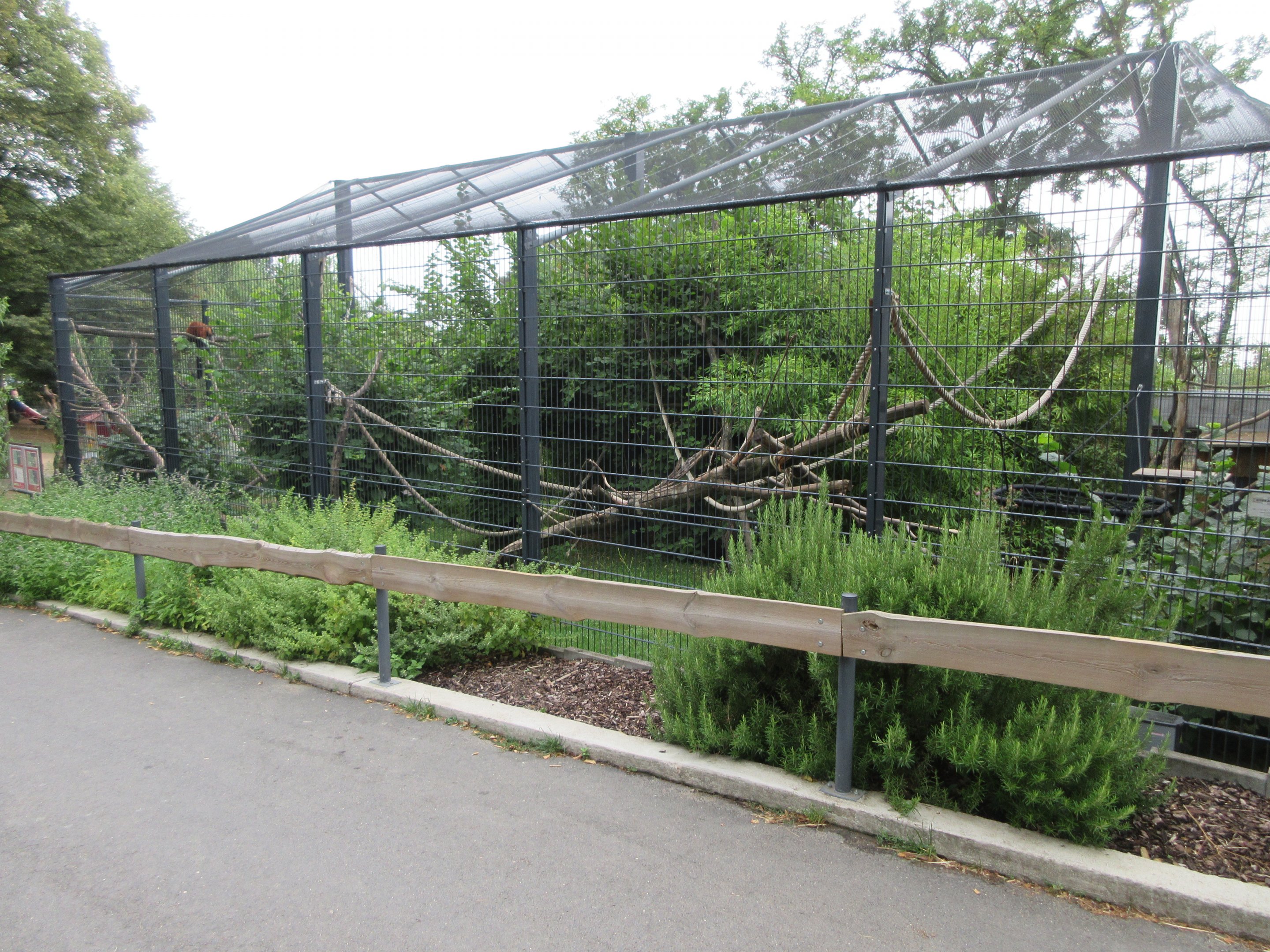 Red Ruffed Lemur Exhibit