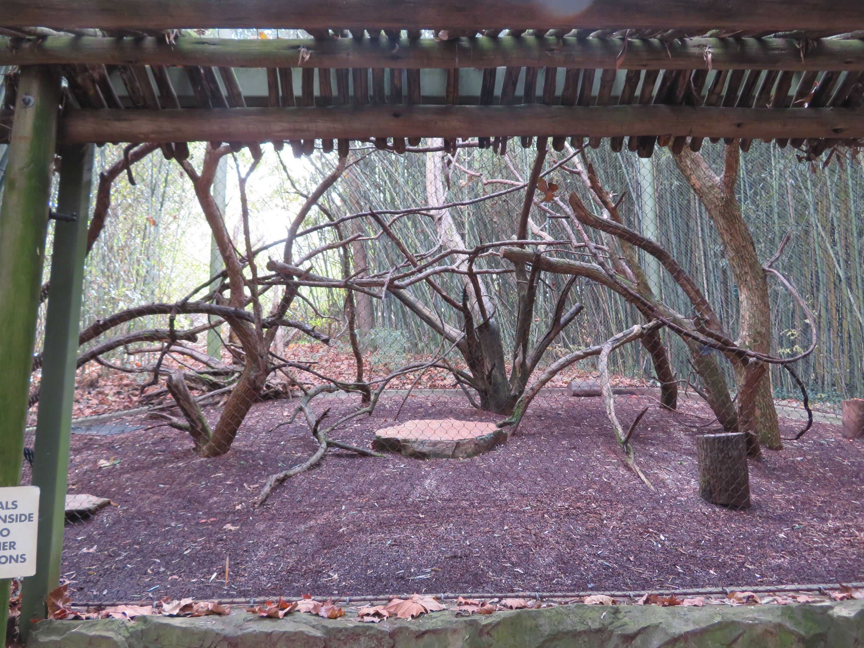 Red Ruffed Lemur Exhibit