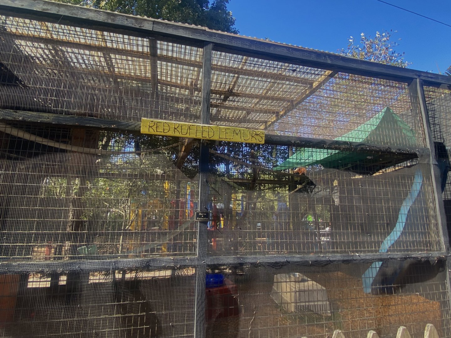 Red Ruffed Lemur Exhibit