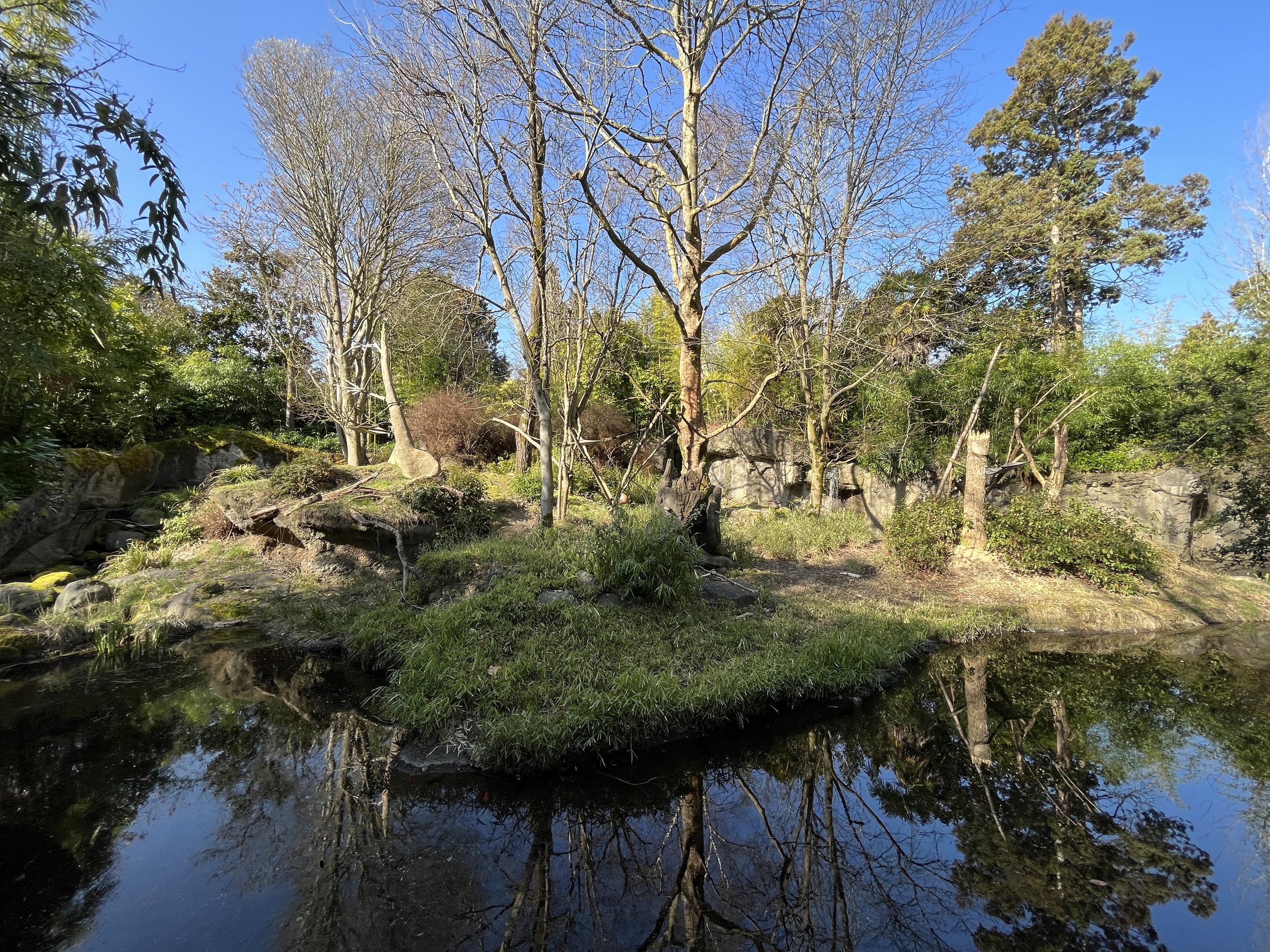 Red Ruffed Lemur Exhibit