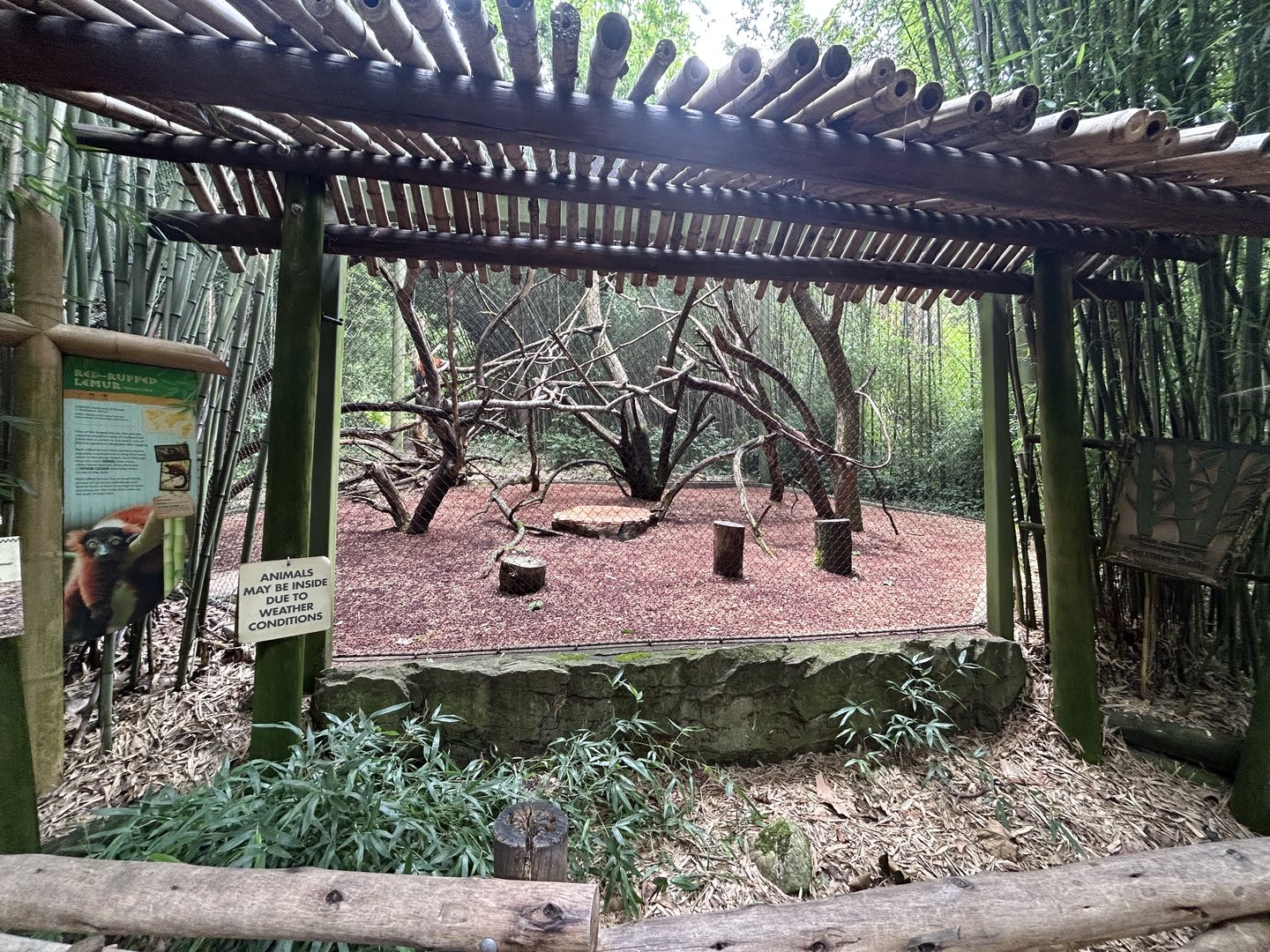 Red-ruffed Lemur Exhibit