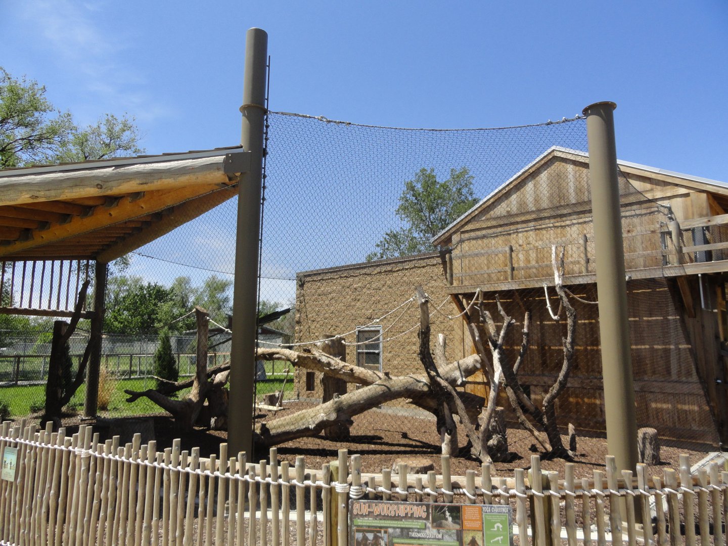 Red Ruffed Lemur Exhibit