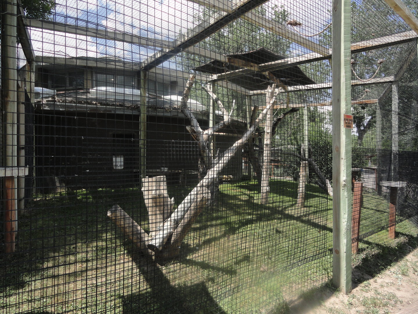 Red Ruffed Lemur & Guereza Colobus Exhibit (Rotate)