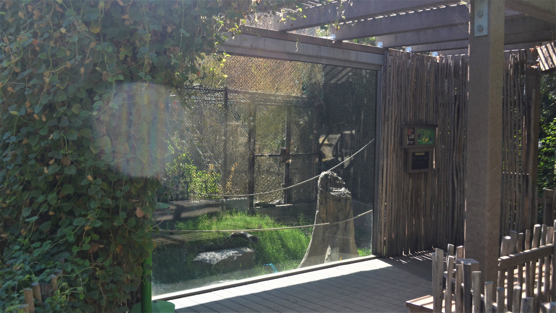 Red Ruffed Lemur Habitat