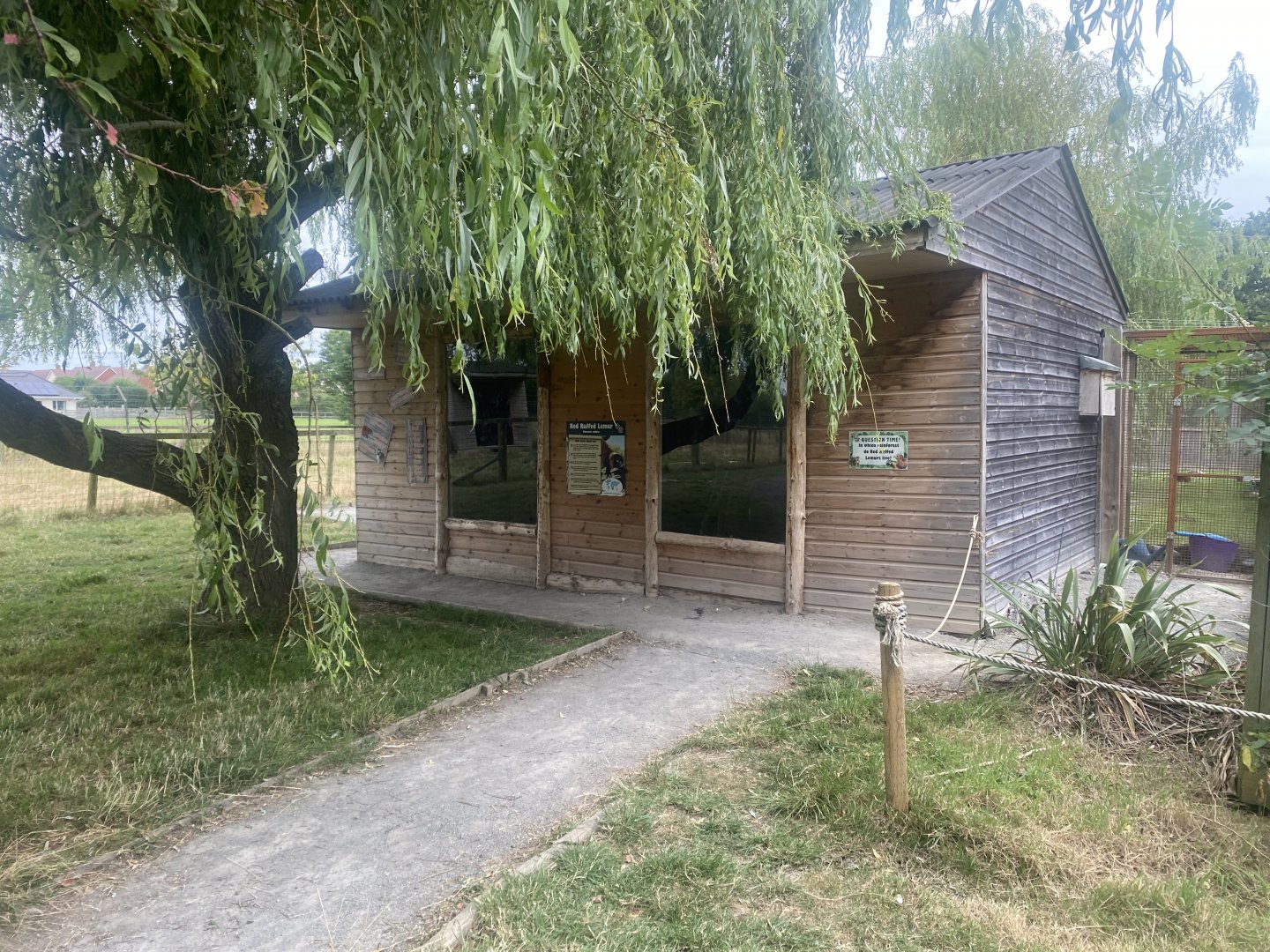 Red ruffed lemur house 040824