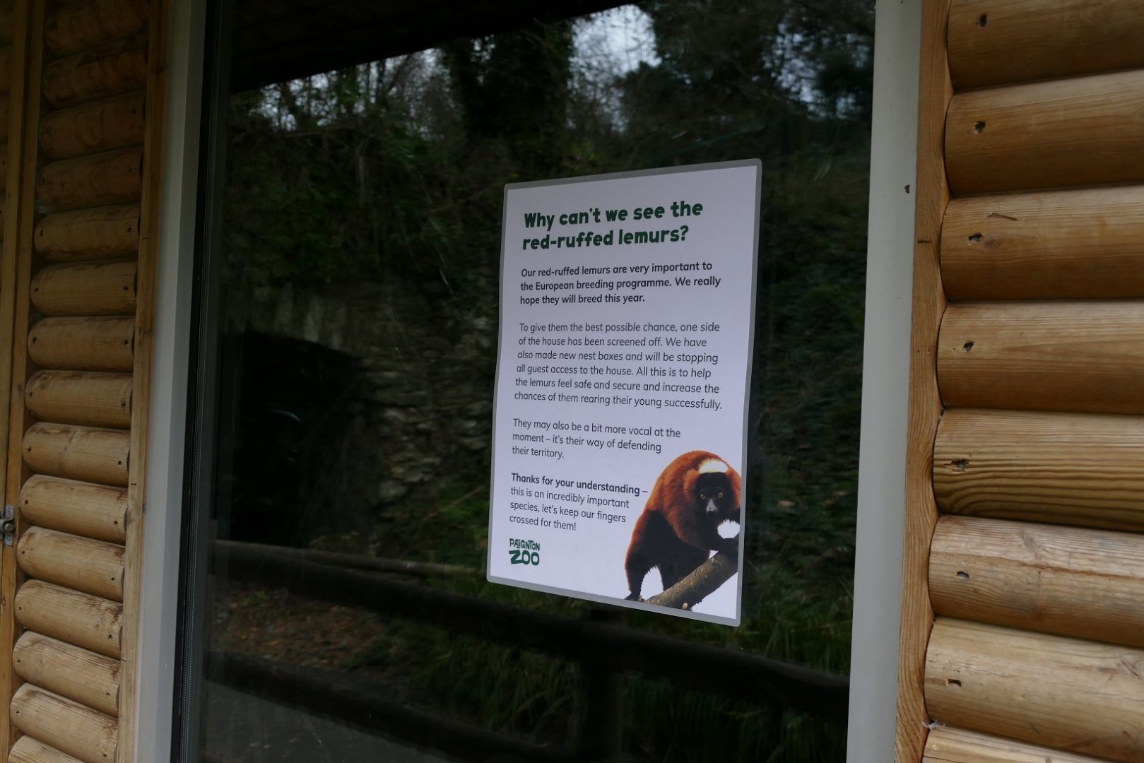 Red-ruffed lemur house, January 2019