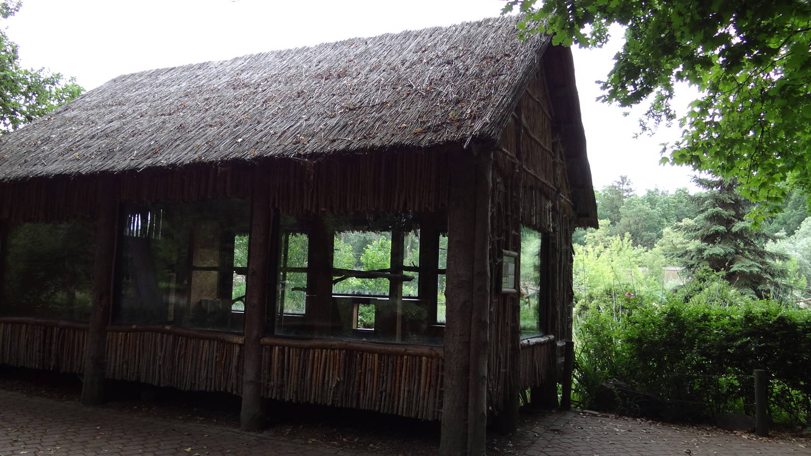 Red Ruffed Lemur house