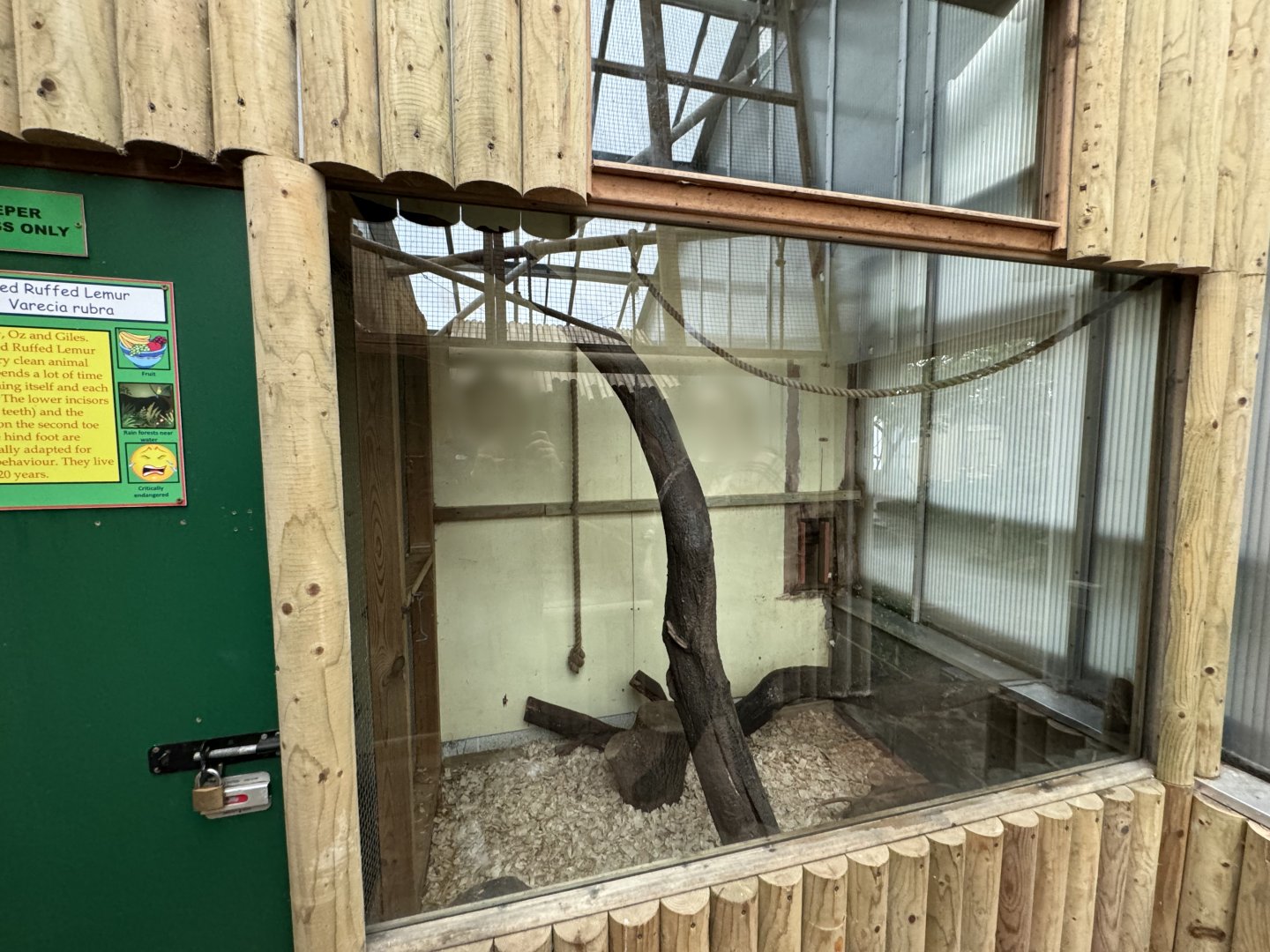 Red Ruffed Lemur Indoor Enclosure at Woodside Wildlife Park (May 2024)