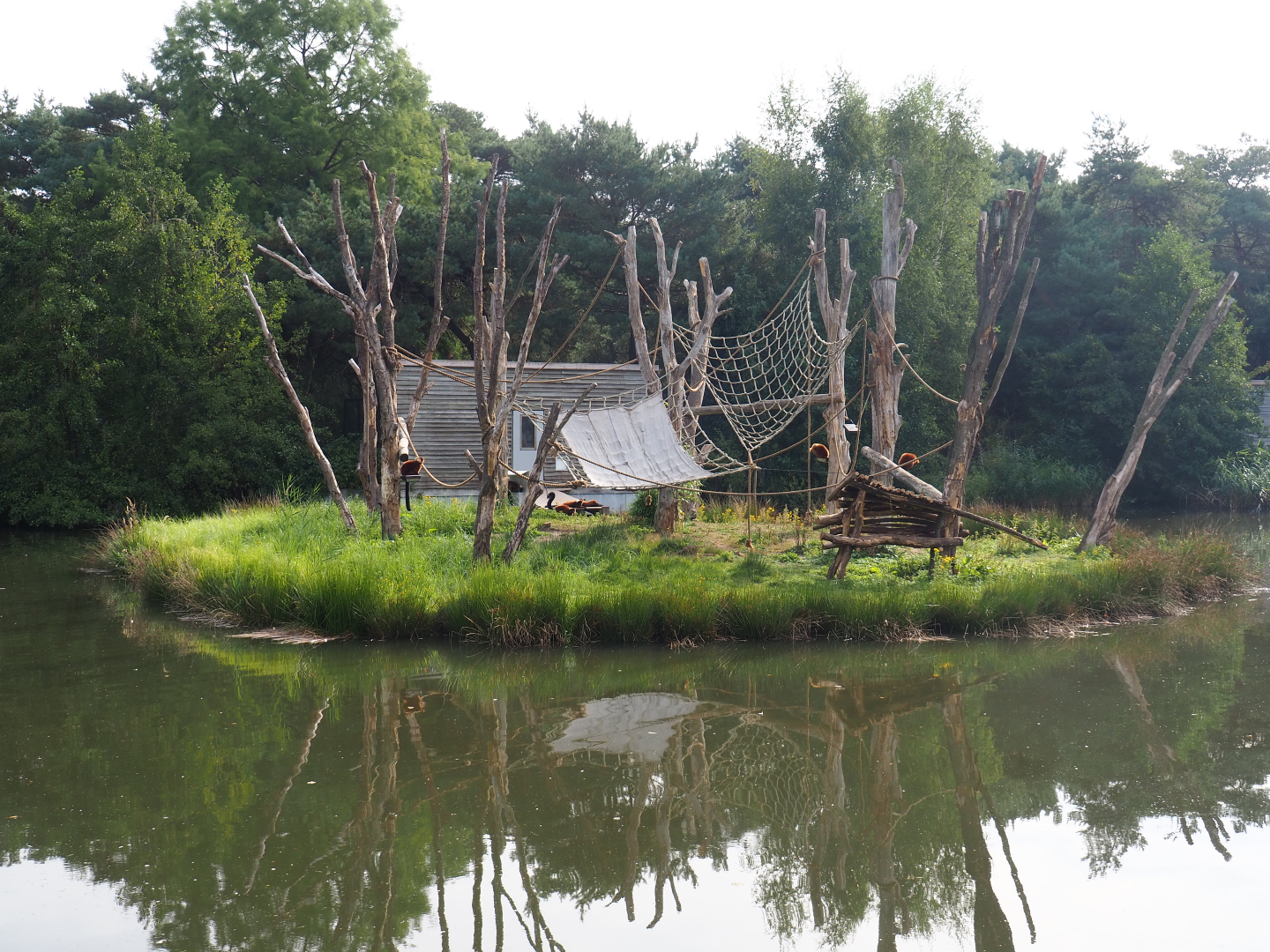 Red ruffed lemur island, 2019-09-15