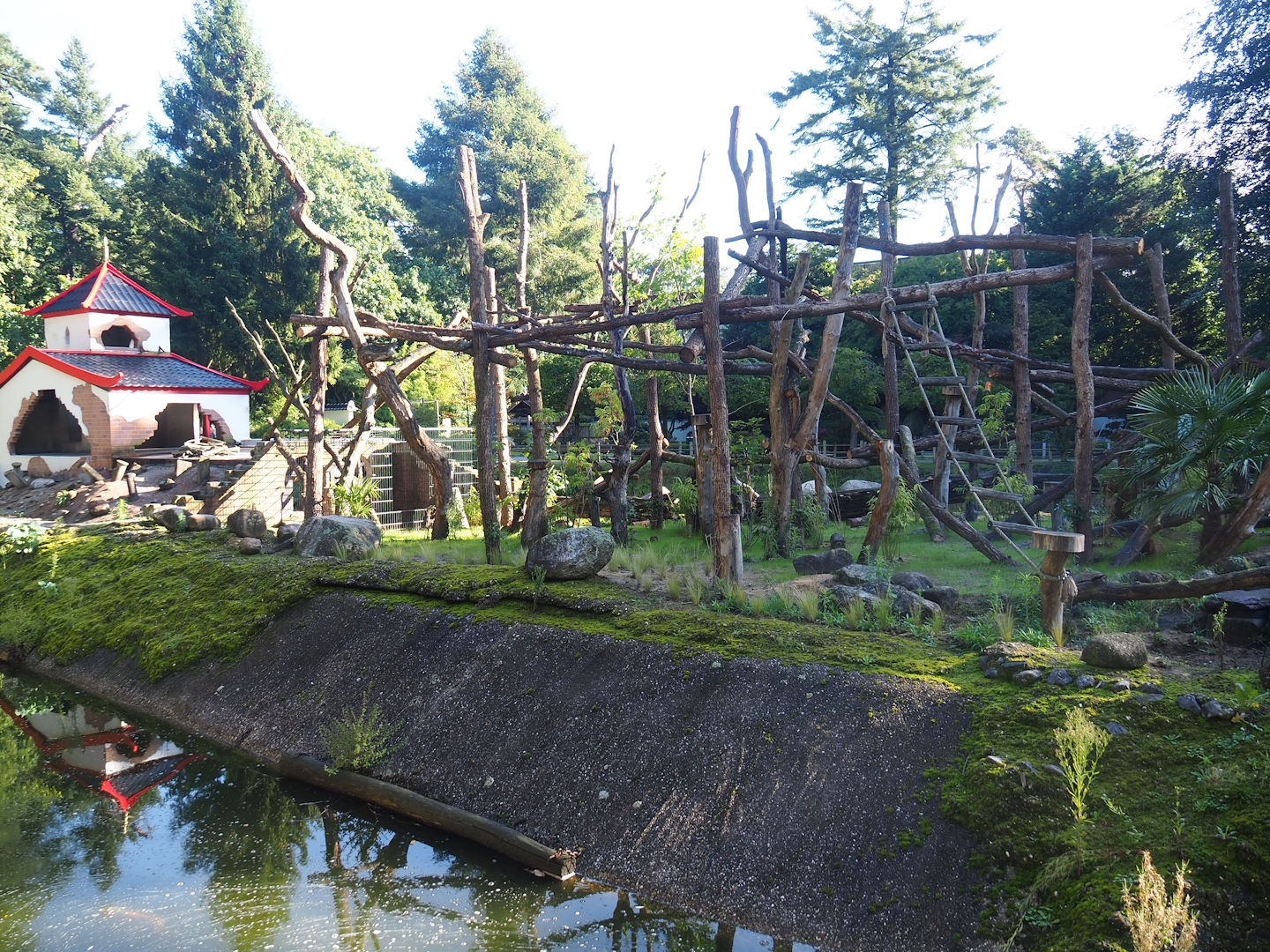 Red-ruffed lemur island, 2023-09-24