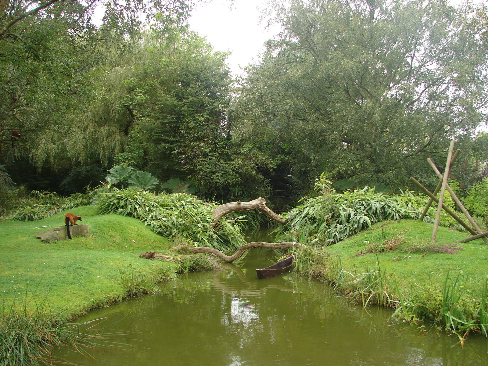 Red ruffed lemur island