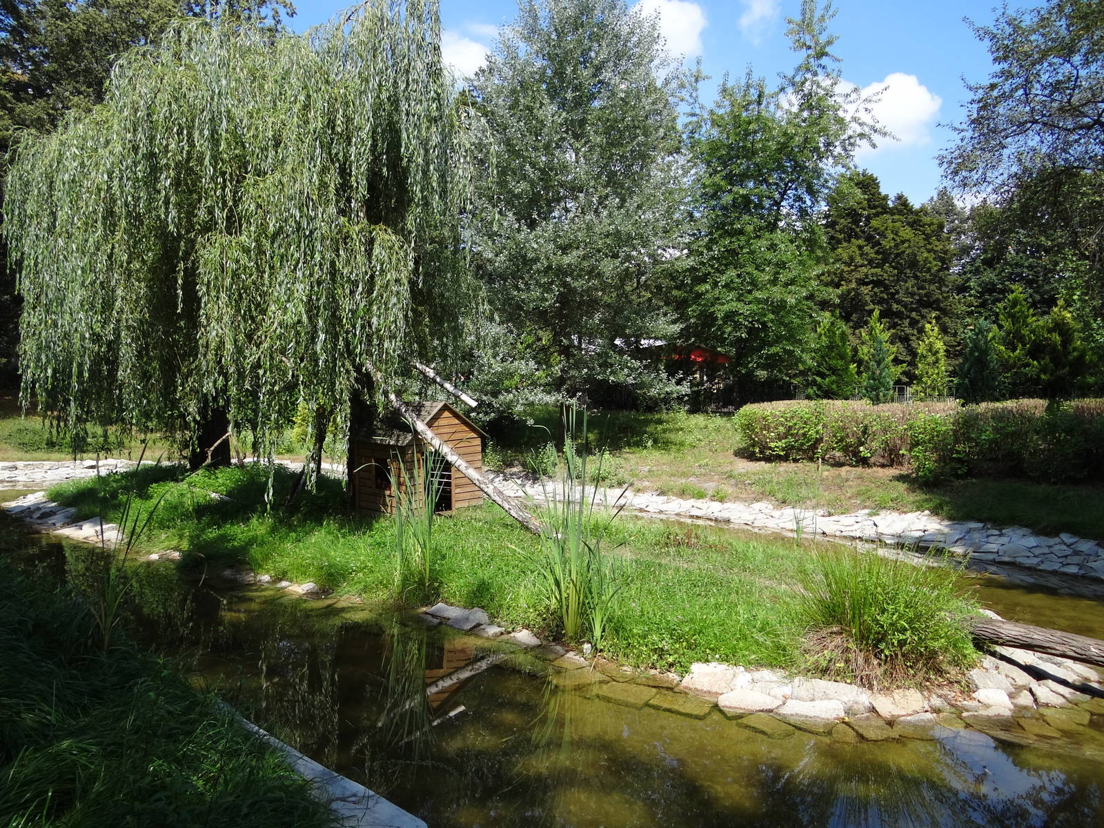 Red Ruffed Lemur island