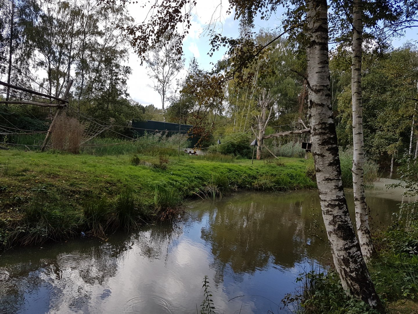 Red ruffed lemur island