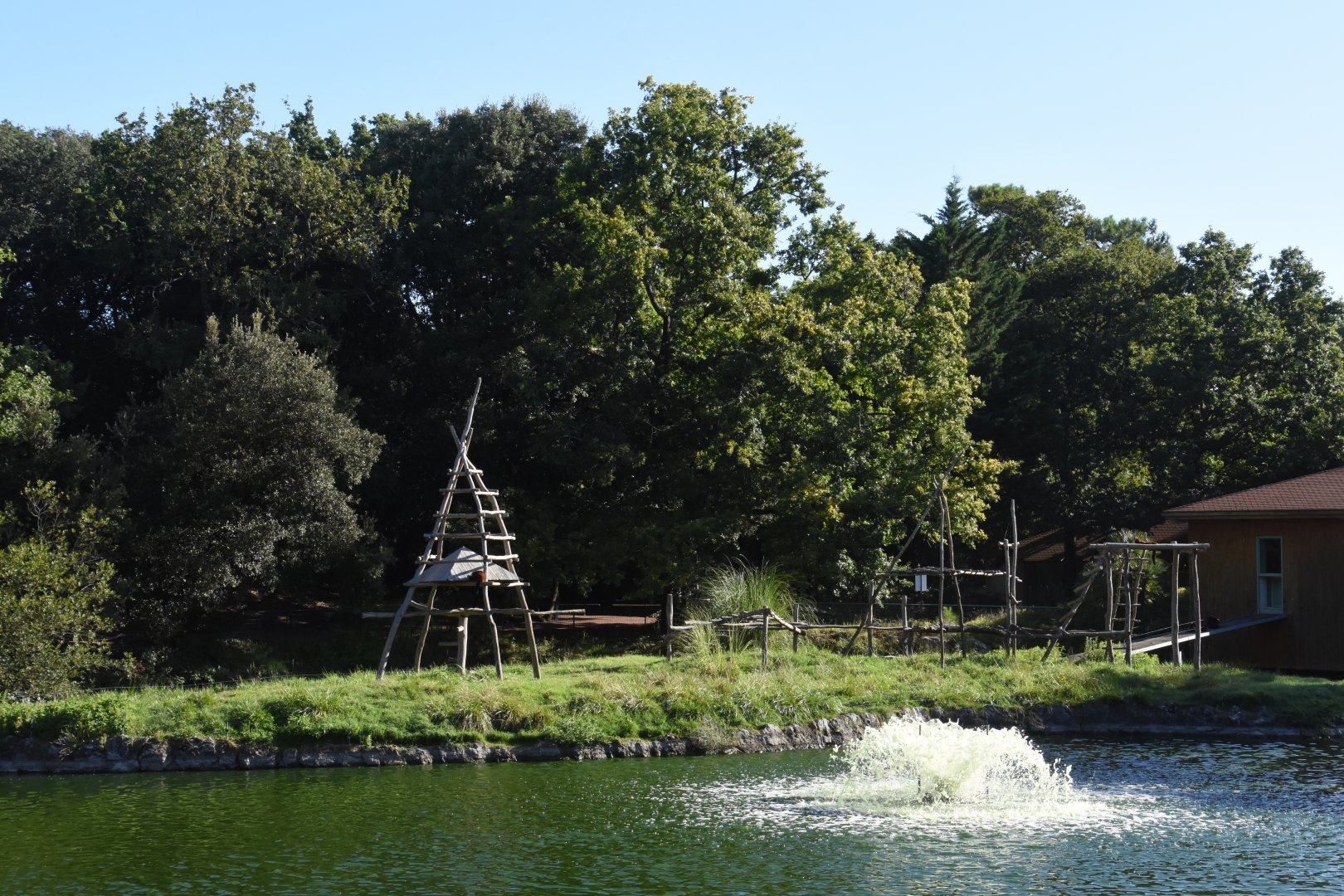 Red-ruffed Lemur island