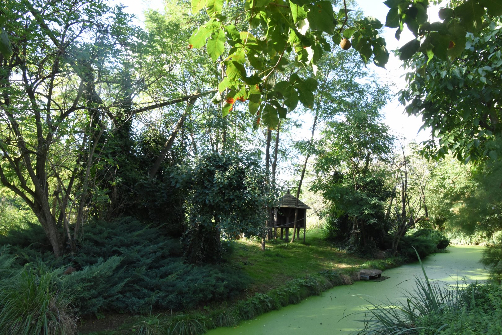 Red Ruffed Lemur island