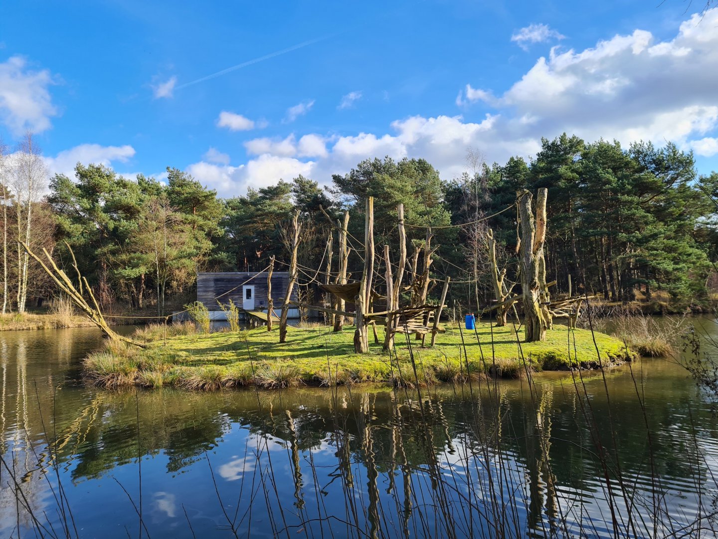 Red ruffed lemur island