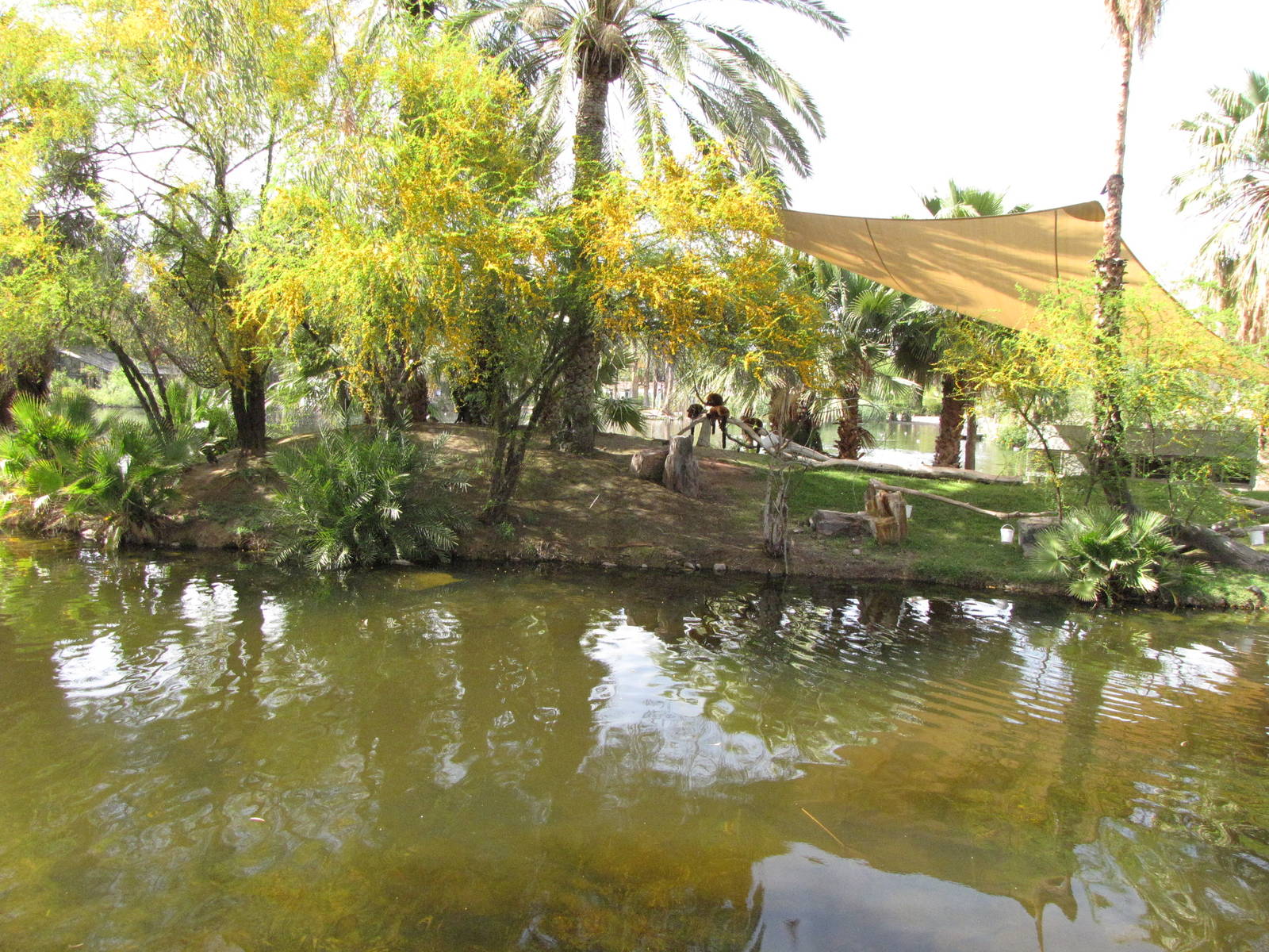 Red Ruffed Lemur Island