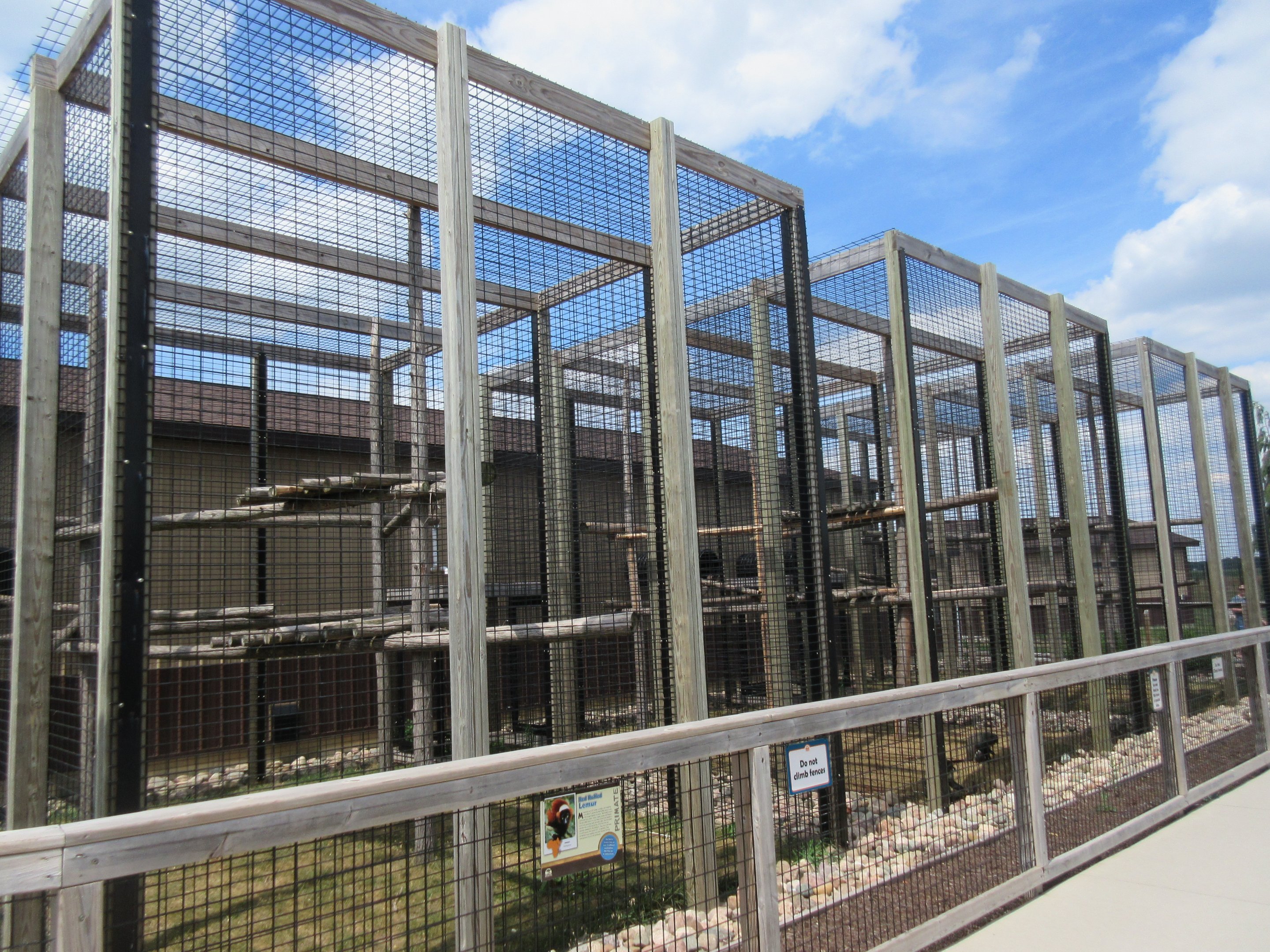 Red Ruffed Lemur + Mandrill Exhibits