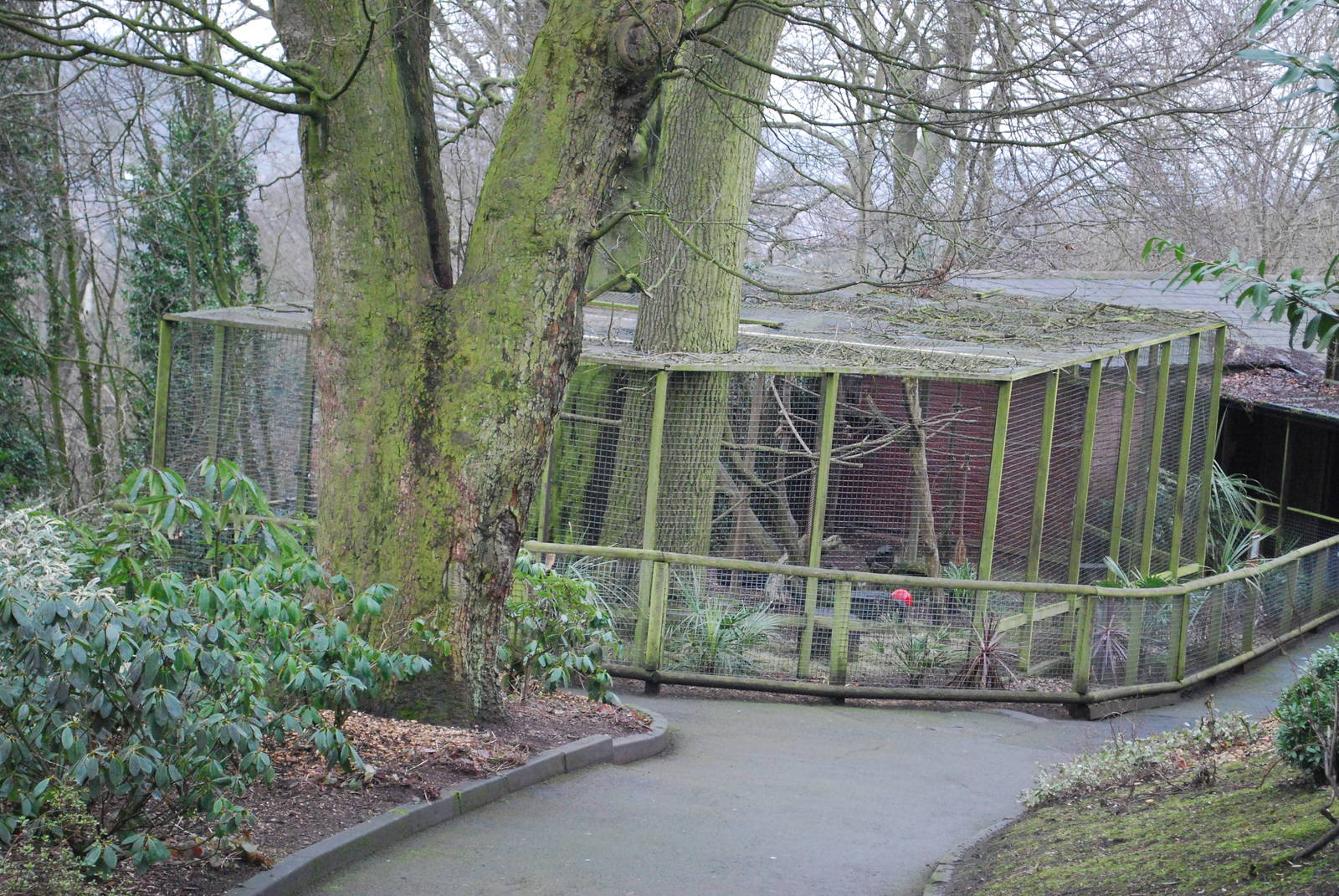 RED RUFFED LEMUR OUTDOOR ENCLOSURE