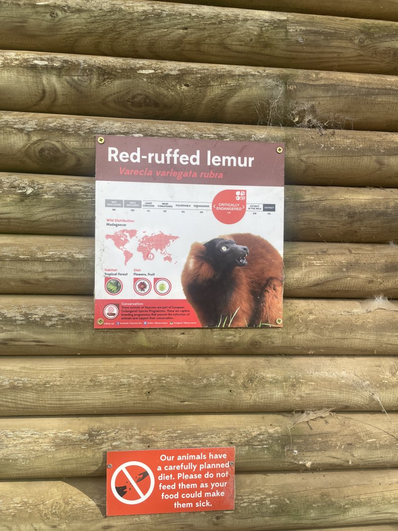 Red Ruffed Lemur Signage