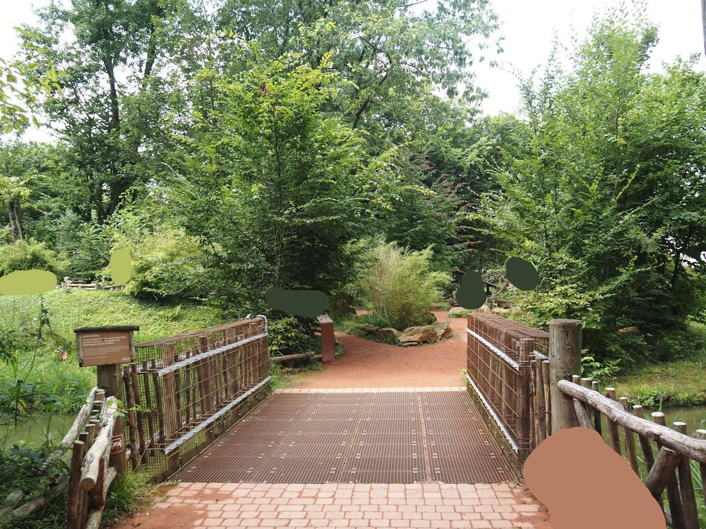 Red ruffed lemur walk-through island, 2024-08-05
