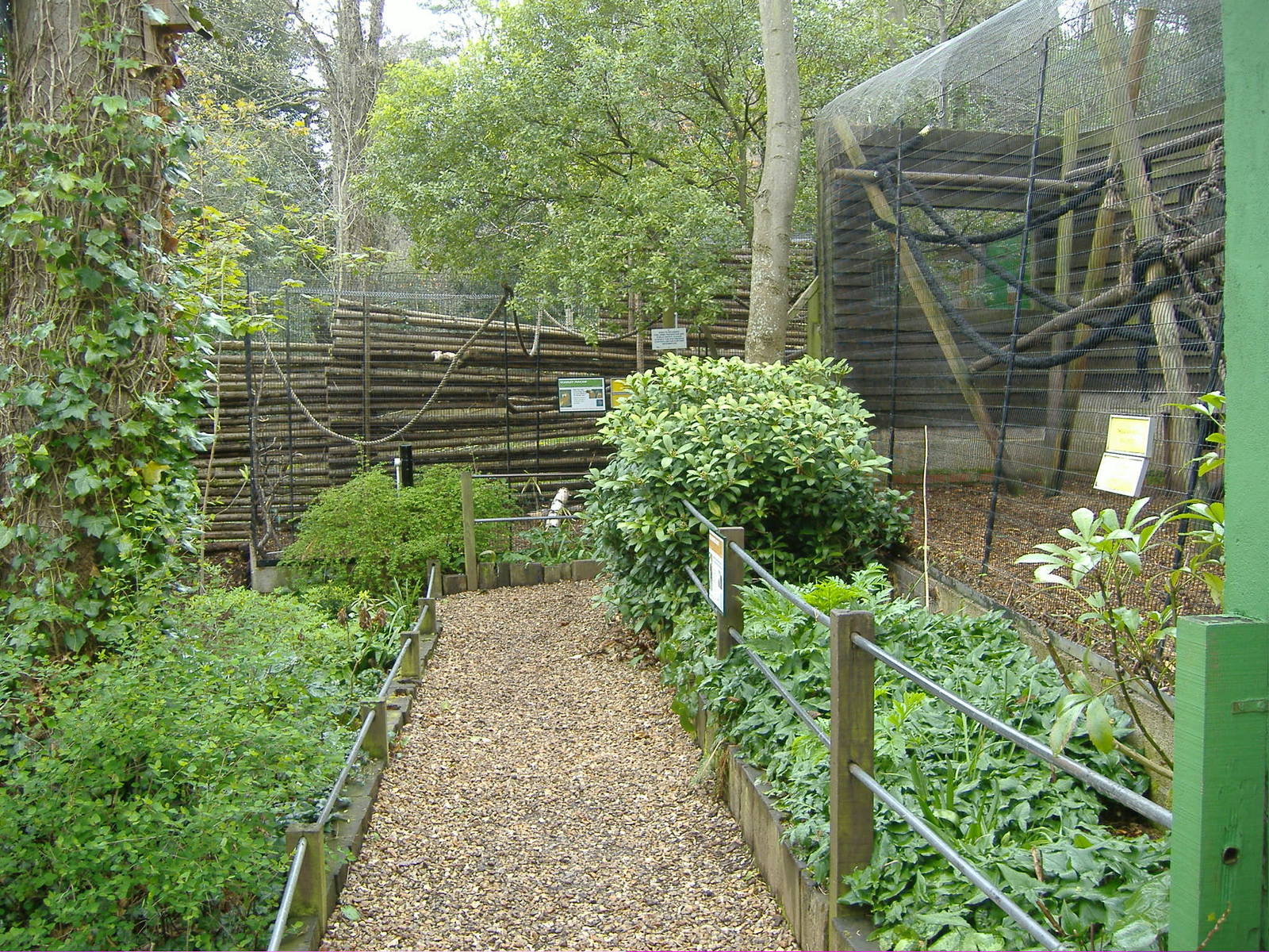 Red Ruffed Lemurs and Macaw enclosures Shaldon Zoo