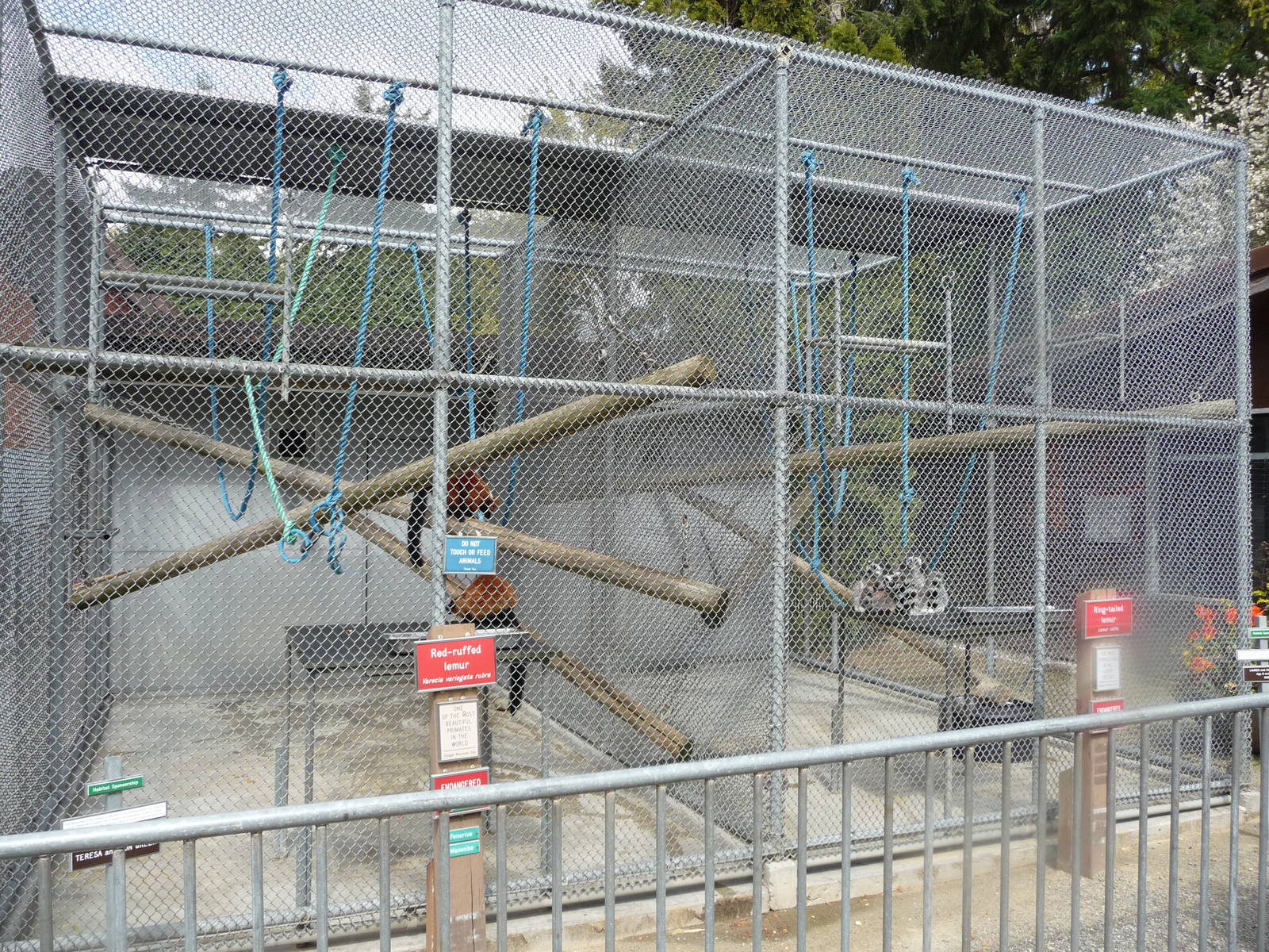 Red Ruffed + Ring-Tailed Lemur Cages