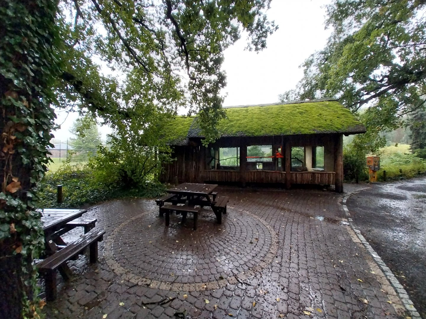 Red ruffed vari house