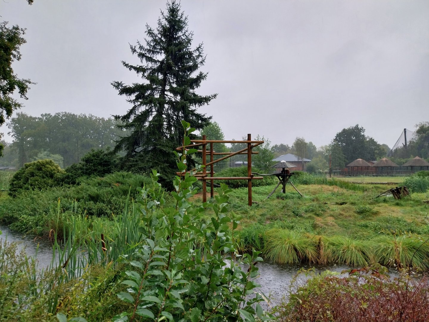 Red ruffed vari island