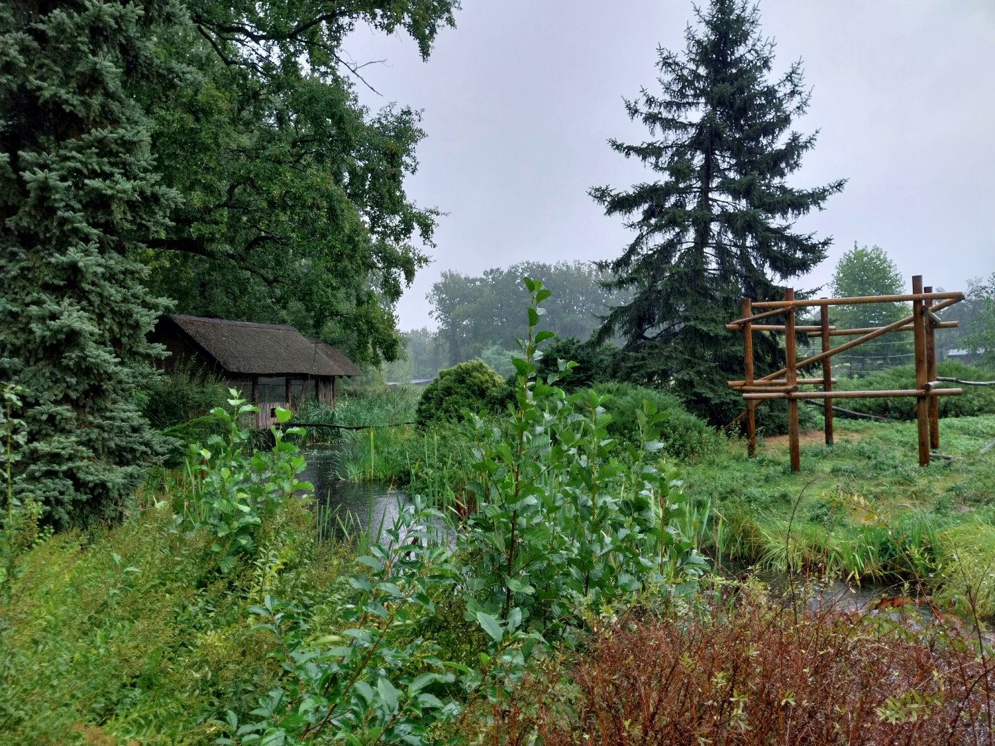 Red ruffed vari island