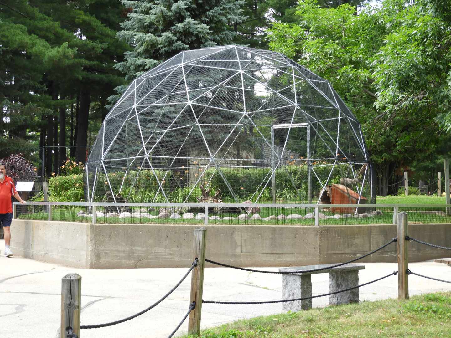 Red-Rumped Agouti exhibit (New in 2018) - International Trail - NEW Zoo