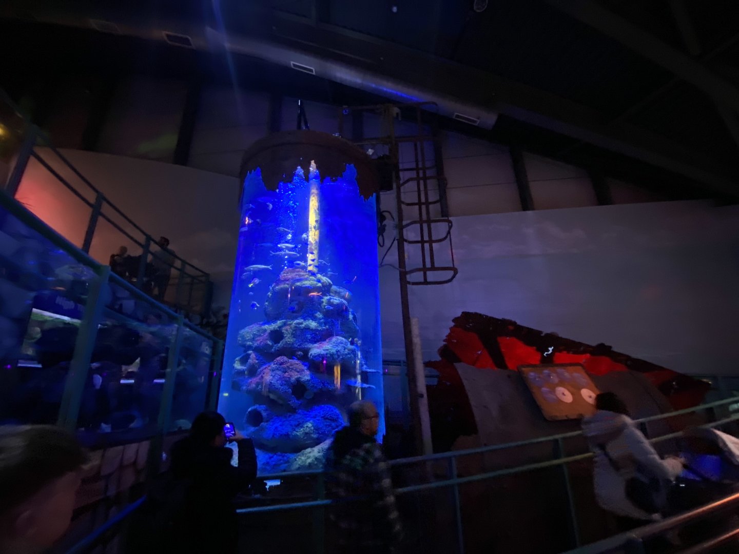 Red Sea Wreck 070123