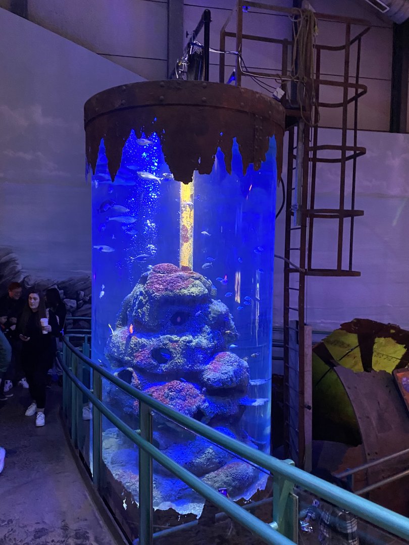 Red Sea Wreck 070123